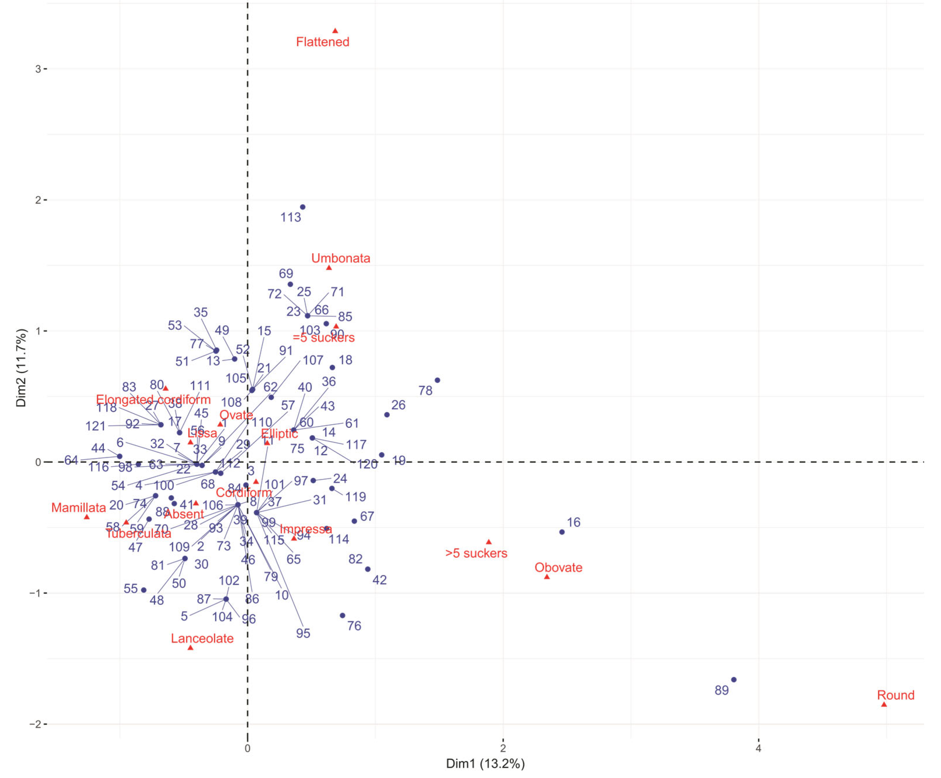 Horticulturae 11 01505 g006 Horticulturae 11 01505 g006