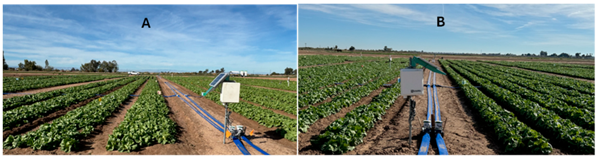 Horticulturae 11 01507 g001