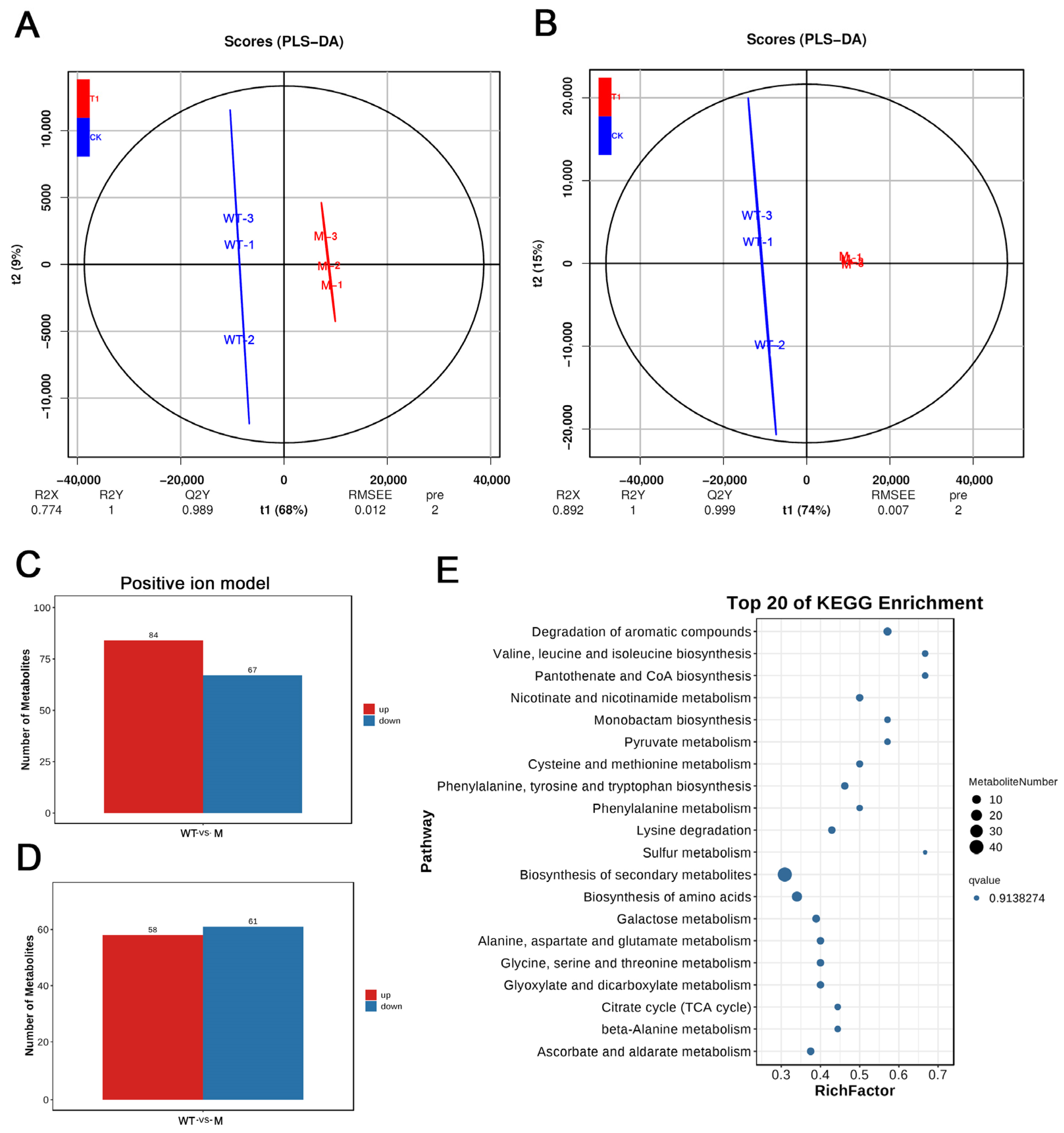 Horticulturae 11 01513 g003 Horticulturae 11 01513 g003