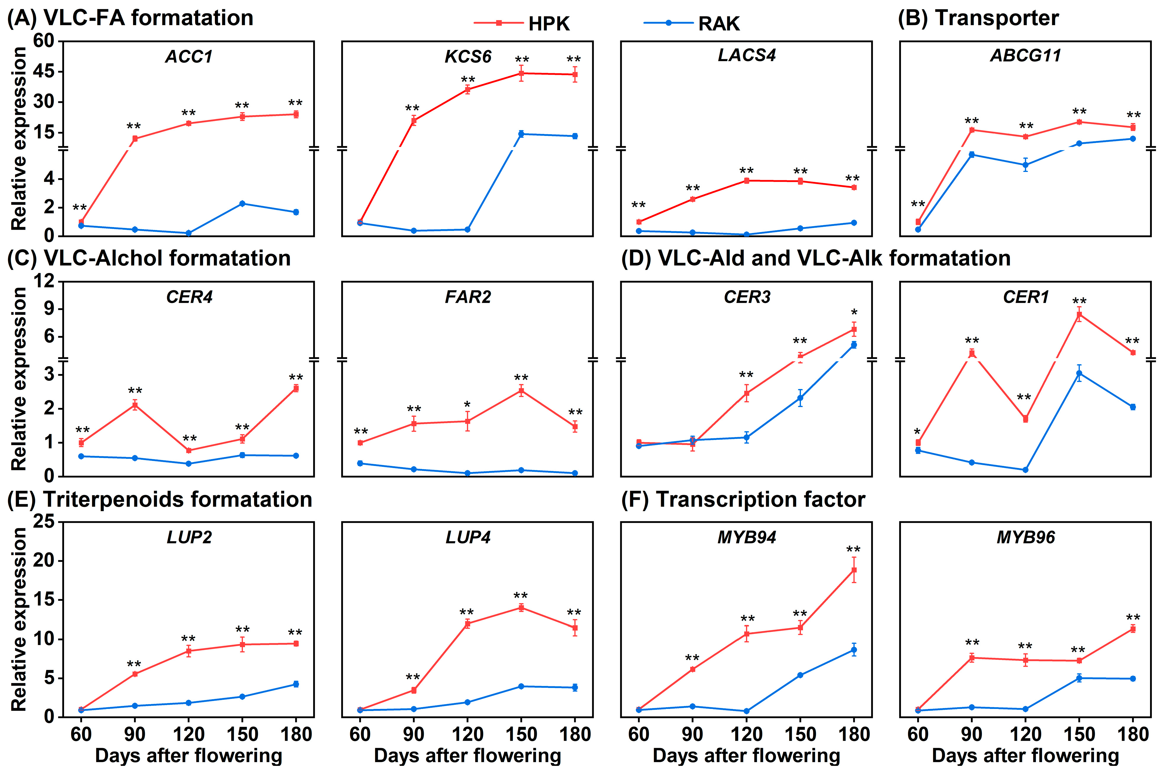 Horticulturae 11 01516 g006 Horticulturae 11 01516 g006