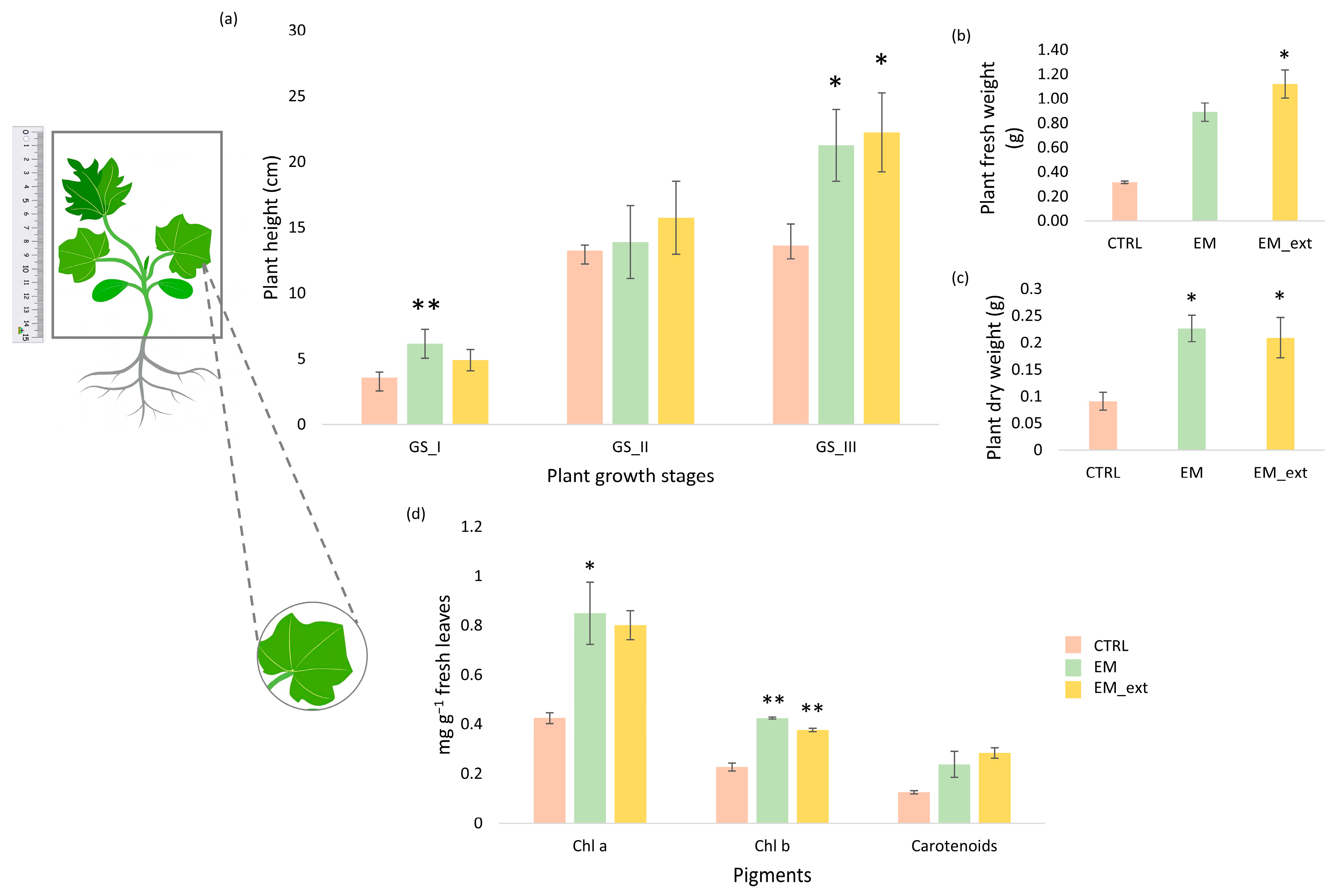 Horticulturae 11 01528 g001