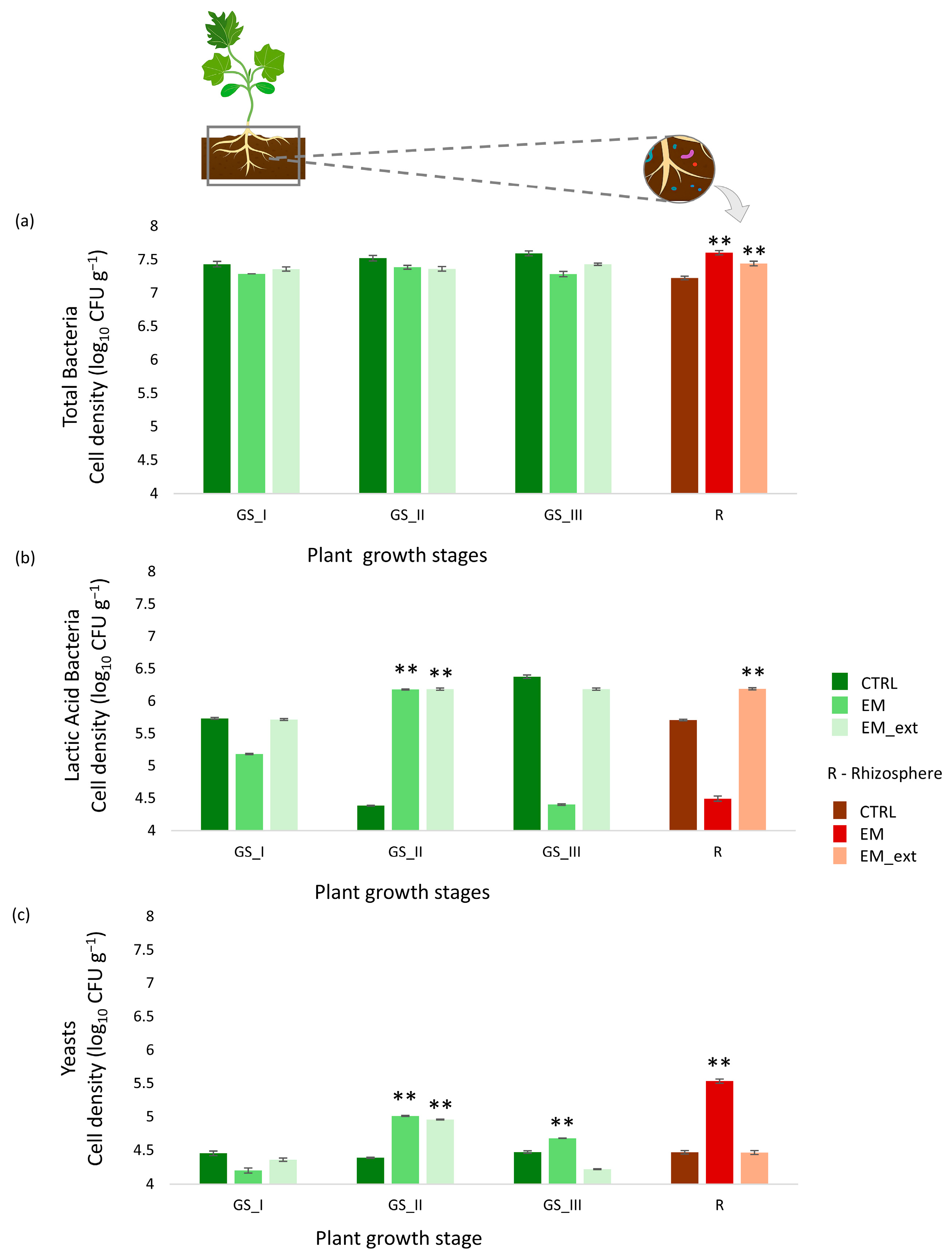 Horticulturae 11 01528 g003