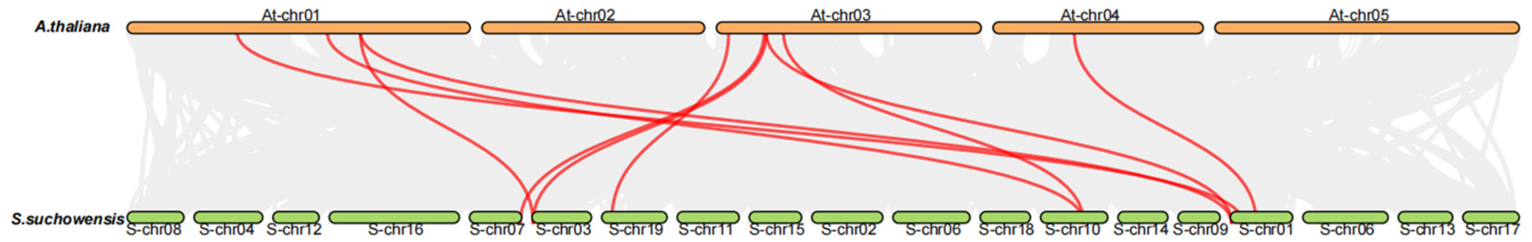 Horticulturae 11 01532 g003 Horticulturae 11 01532 g003