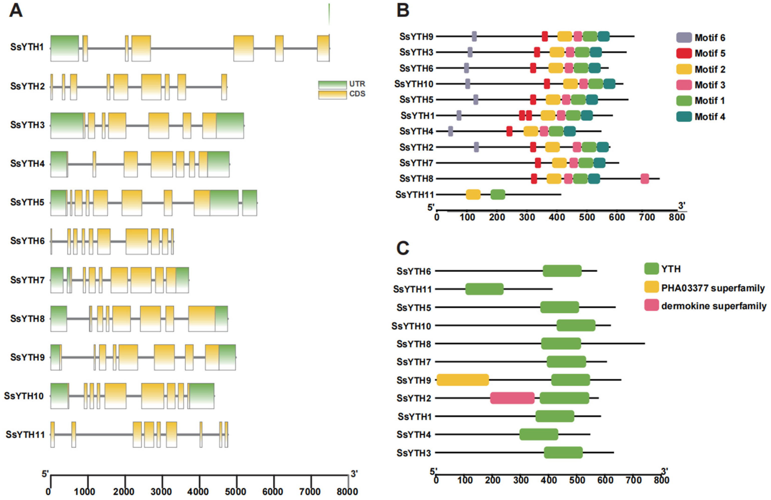 Horticulturae 11 01532 g004 Horticulturae 11 01532 g004