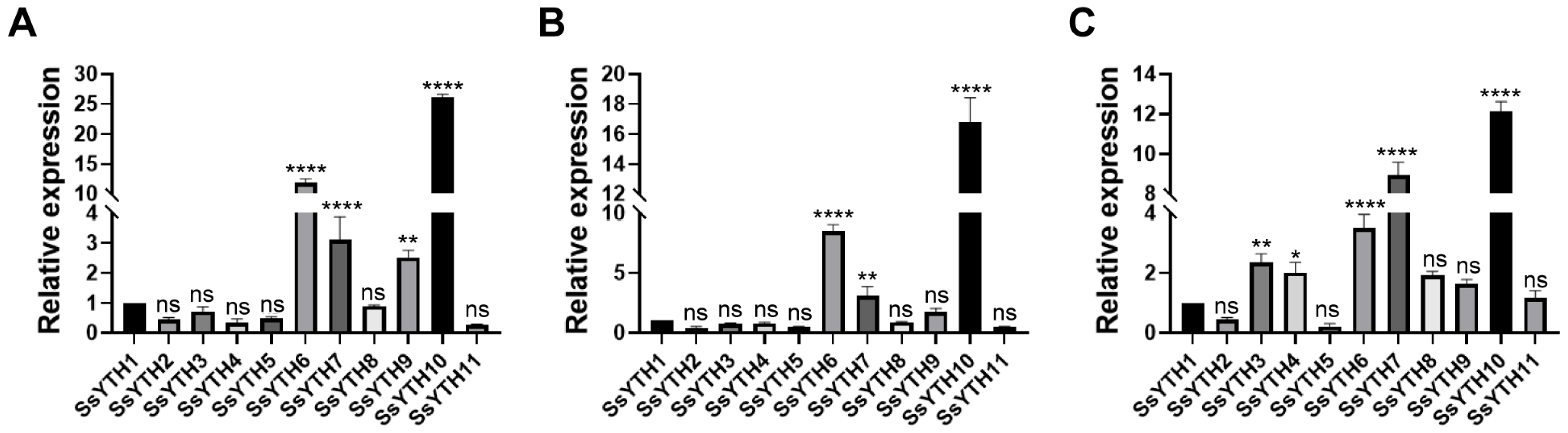 Horticulturae 11 01532 g007 Horticulturae 11 01532 g007
