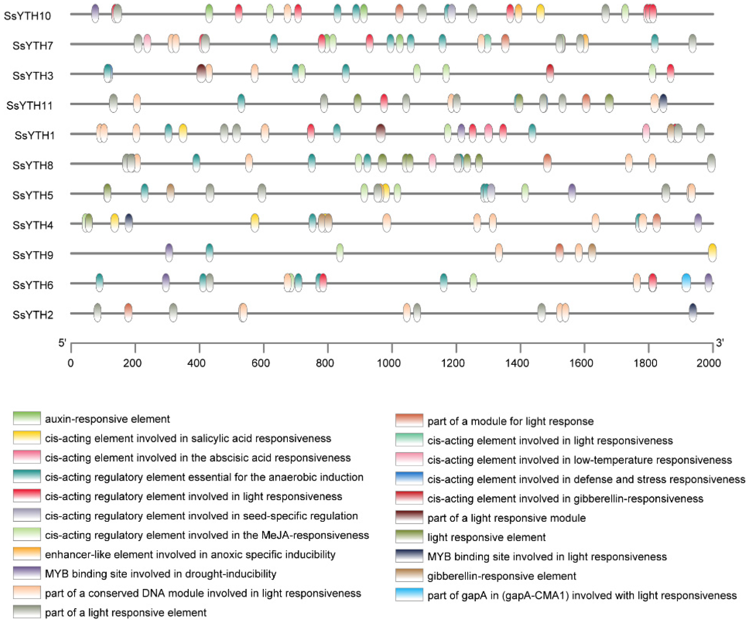 Horticulturae 11 01532 g008 Horticulturae 11 01532 g008