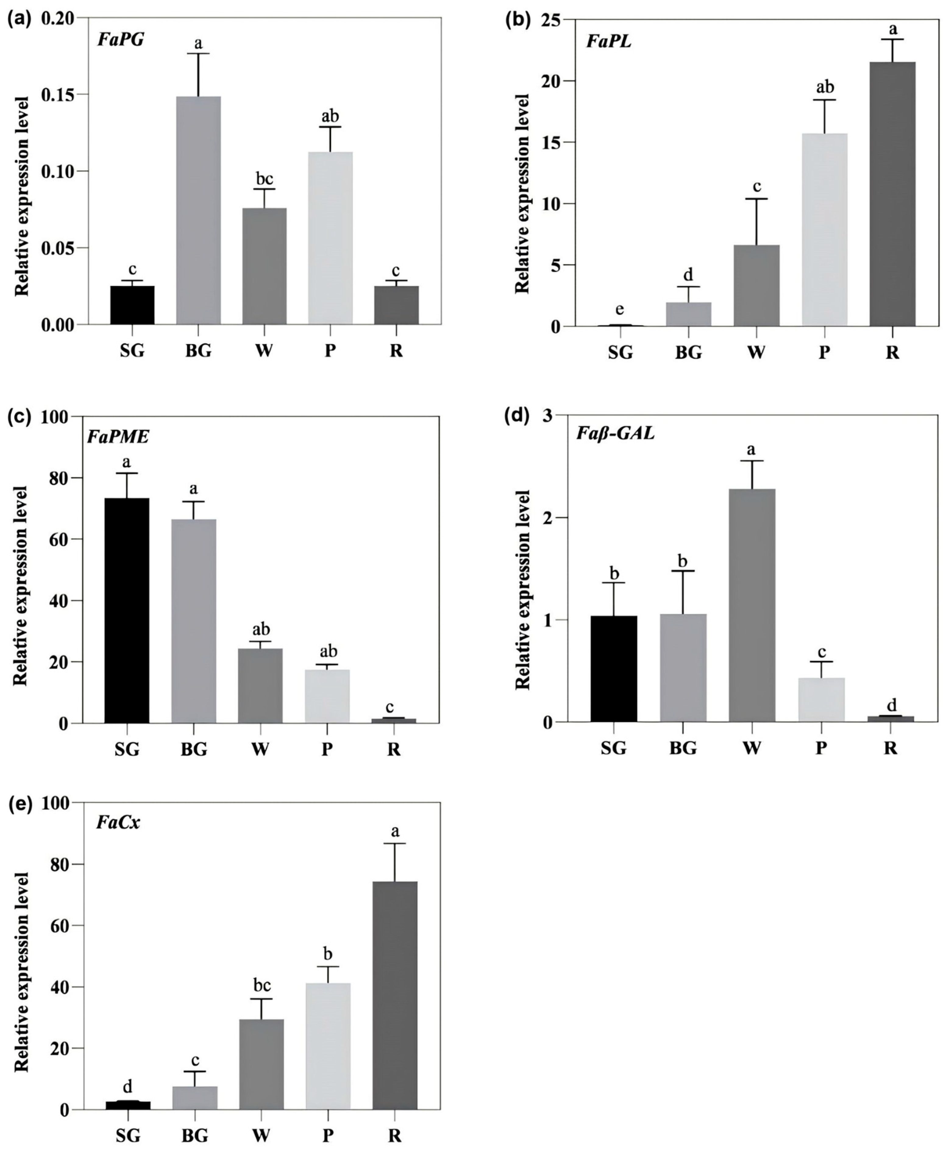 Horticulturae 11 01533 g005 Horticulturae 11 01533 g005