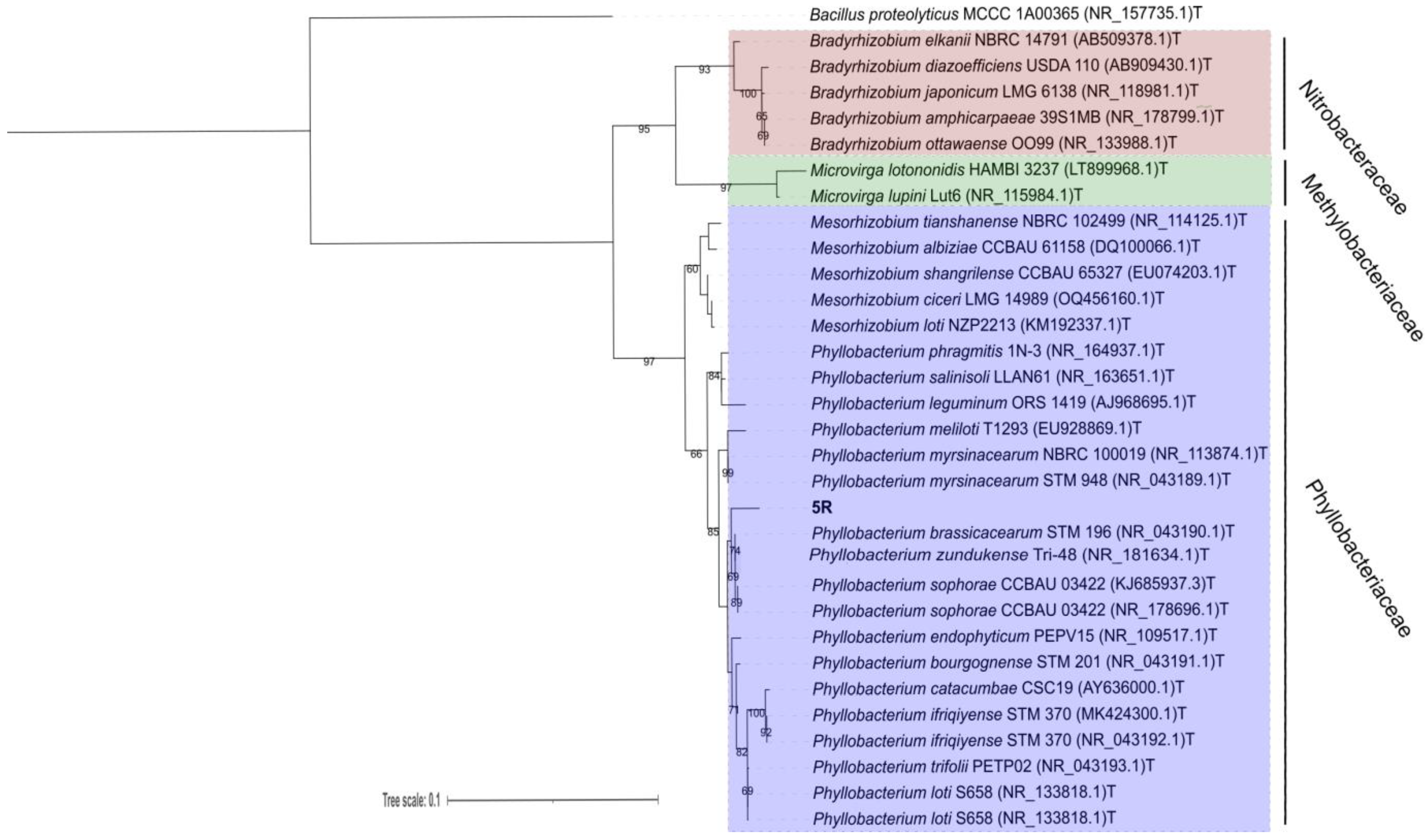 Horticulturae 11 01534 g002 Horticulturae 11 01534 g002