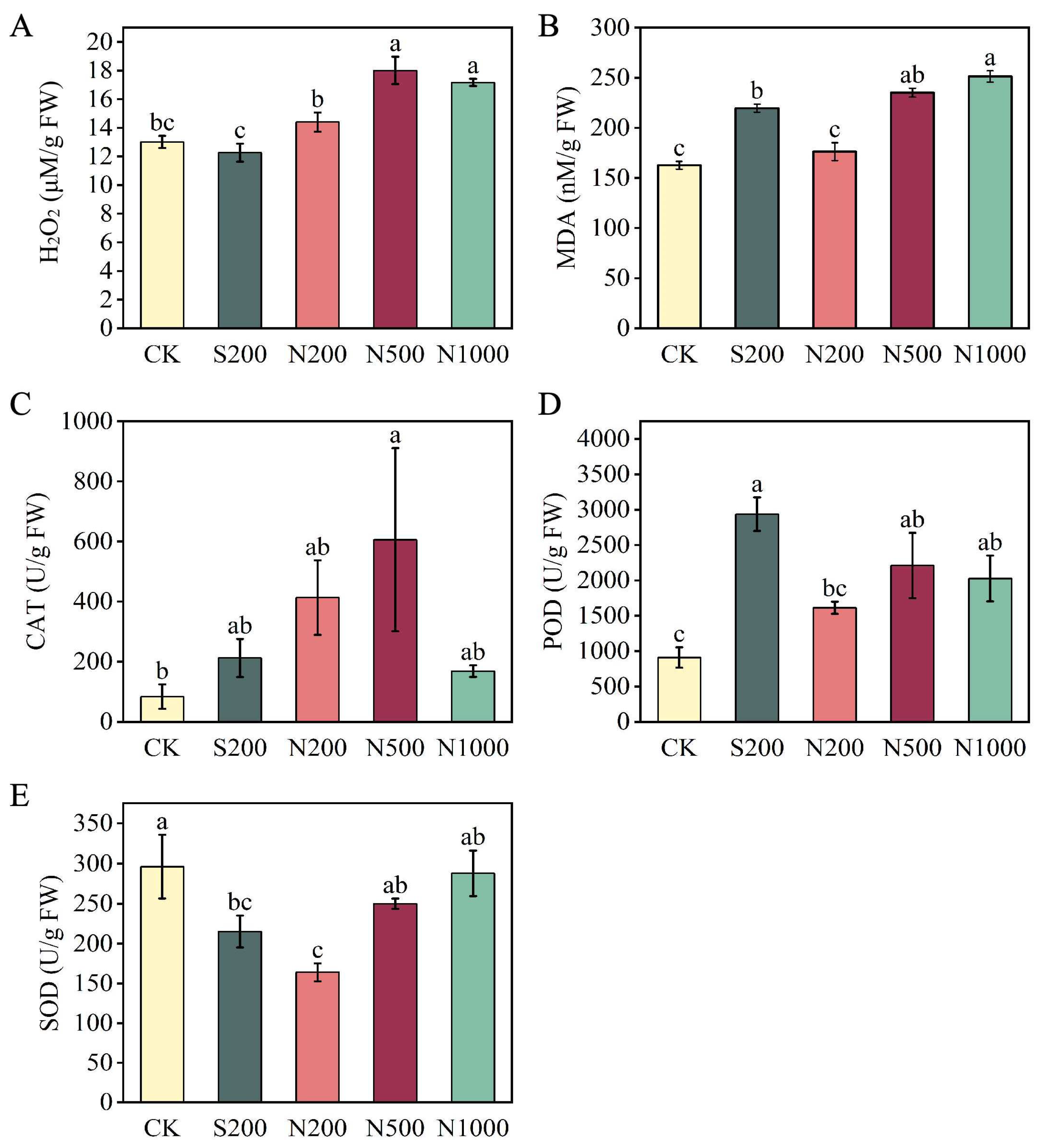 Horticulturae 11 01535 g003 Horticulturae 11 01535 g003