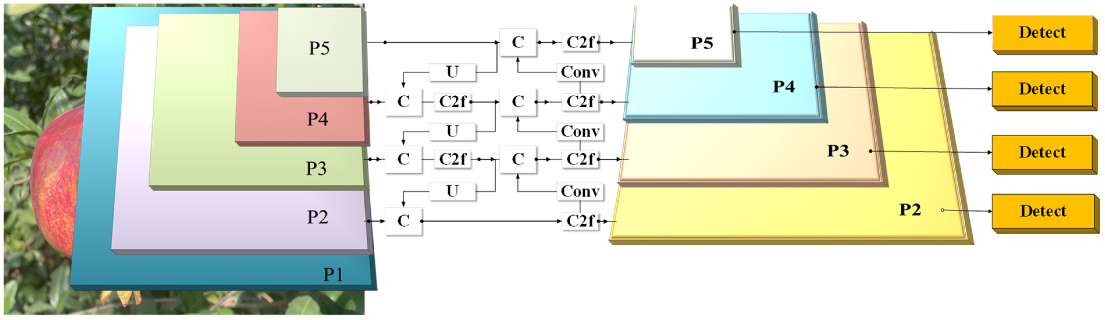 Horticulturae 11 01539 g006