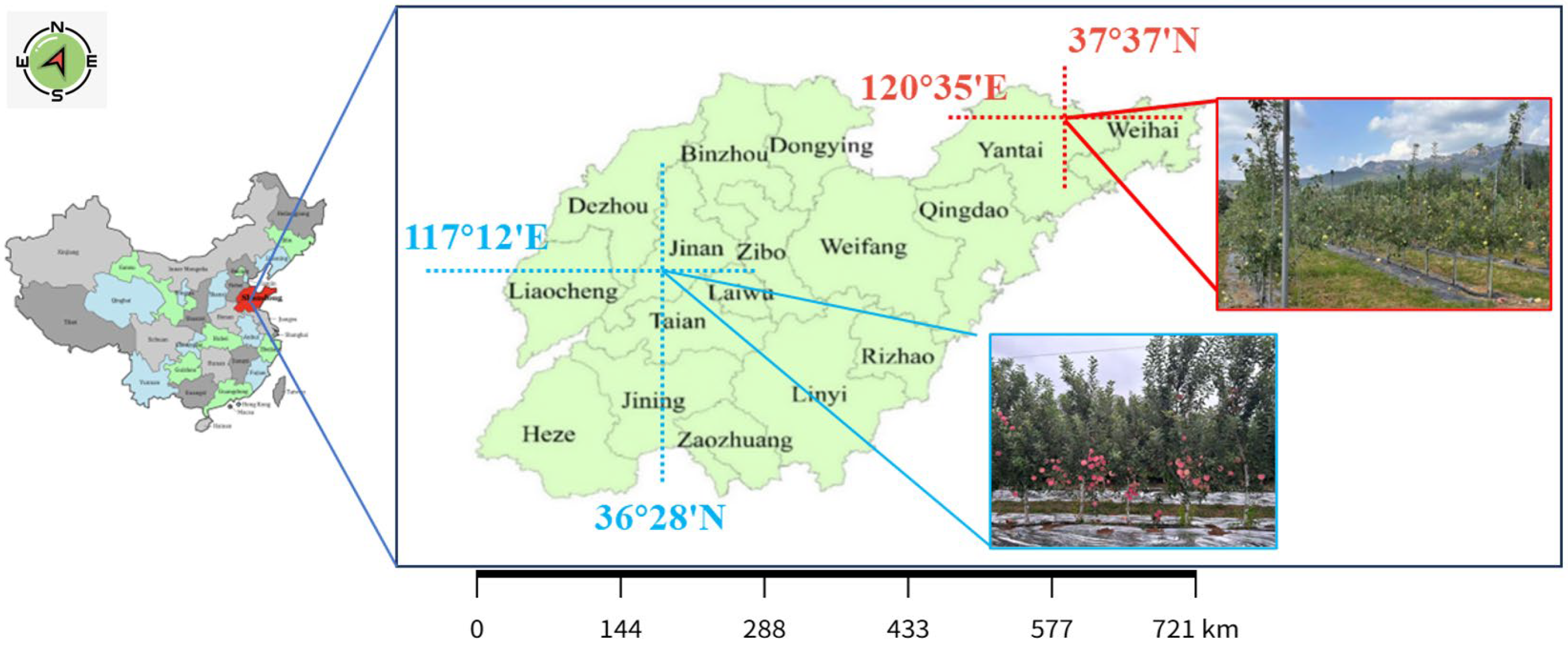 Horticulturae 11 01539 g008