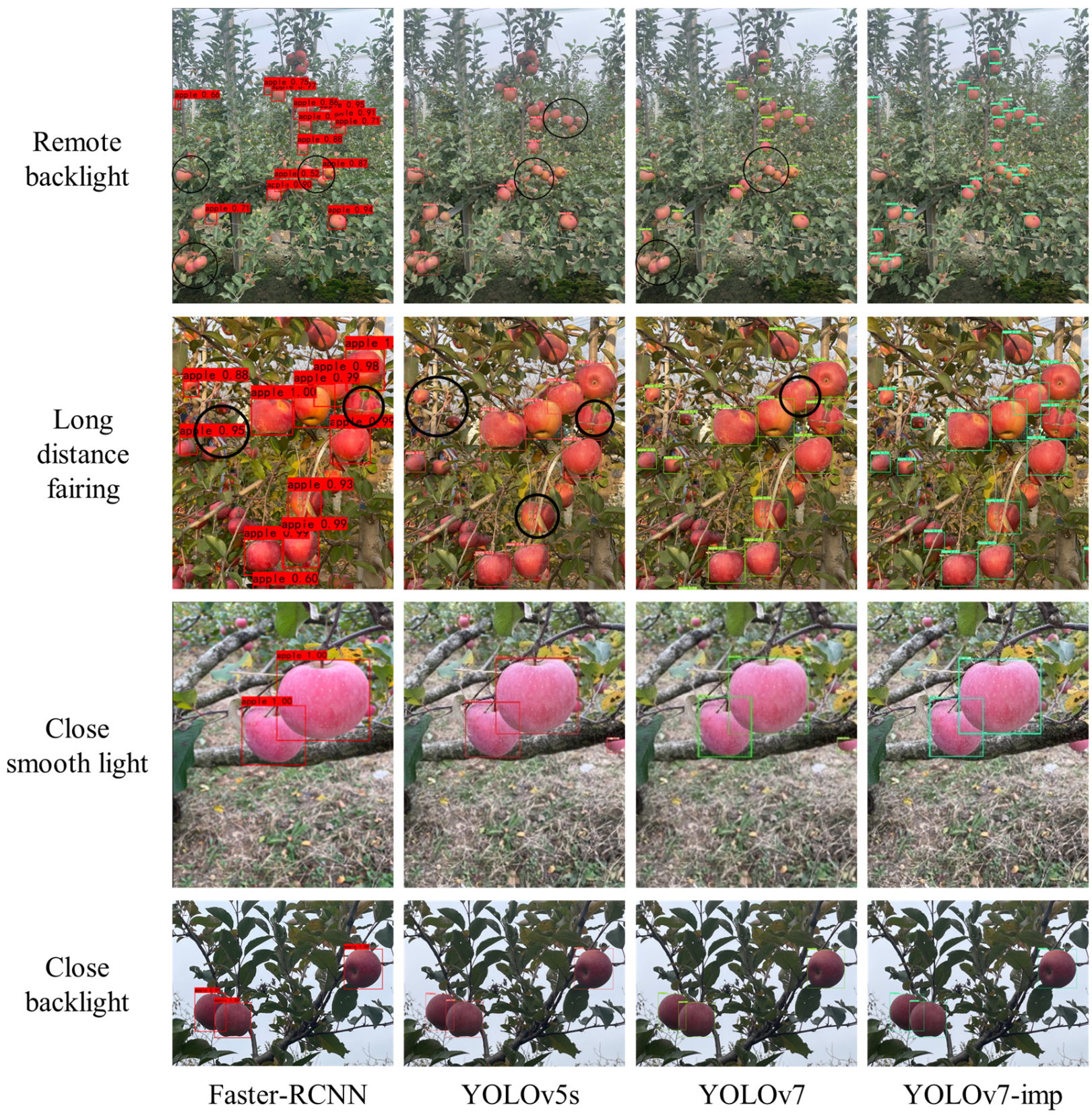 Horticulturae 11 01539 g011