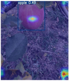 Horticulturae 11 01539 i003