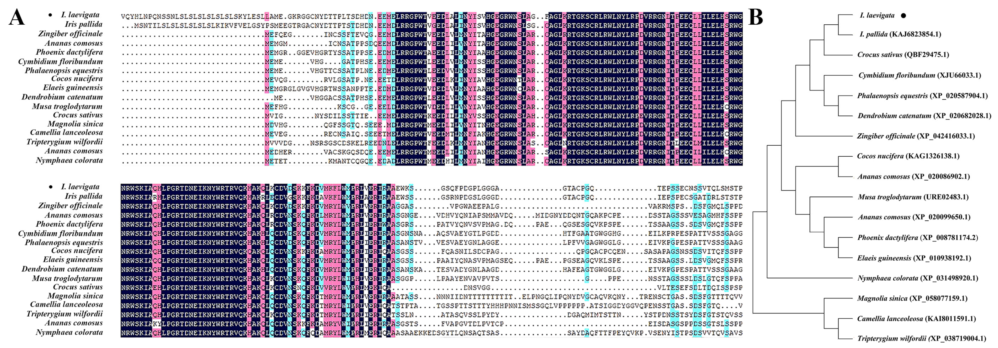 Horticulturae 12 00003 g001
