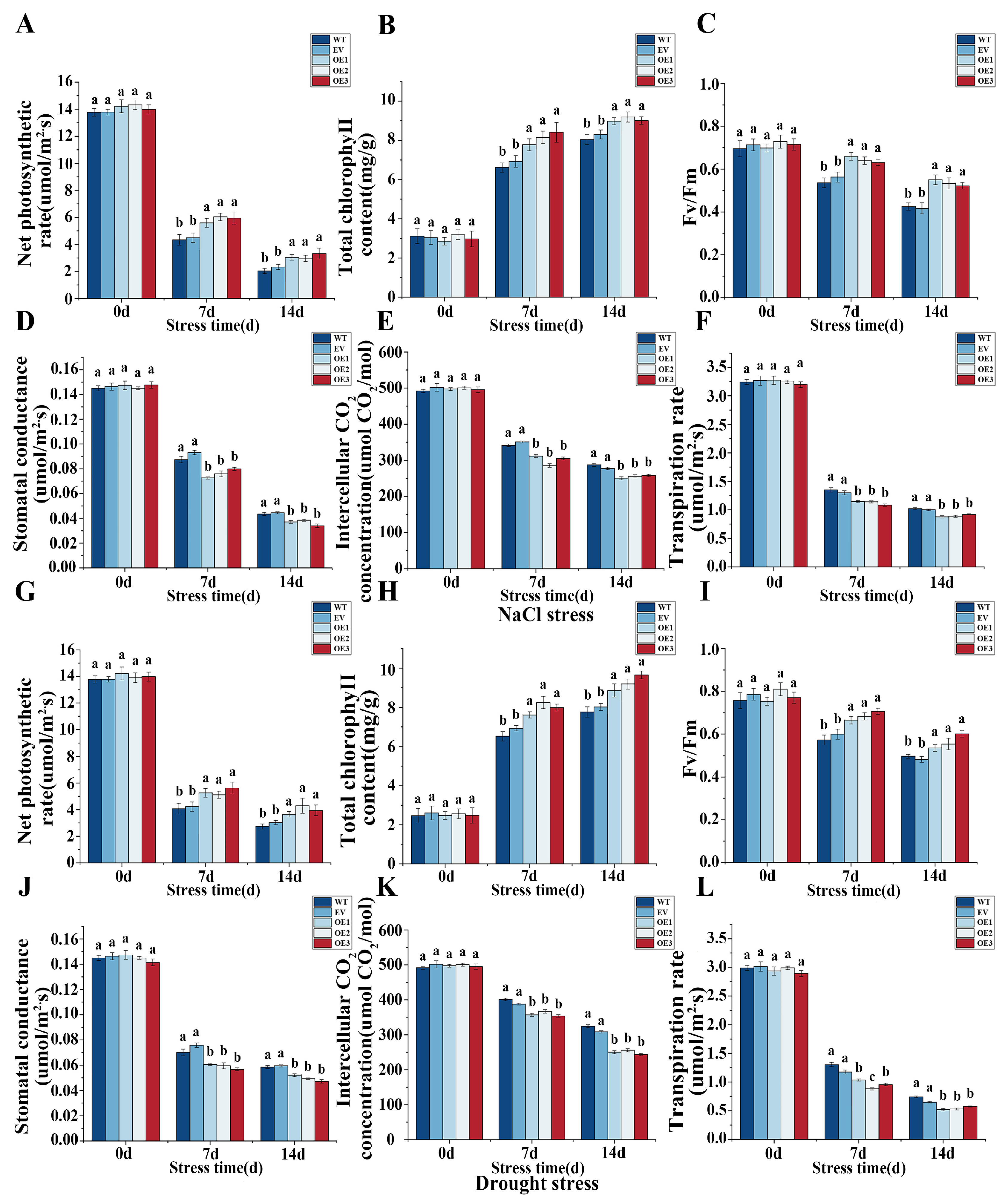 Horticulturae 12 00003 g007