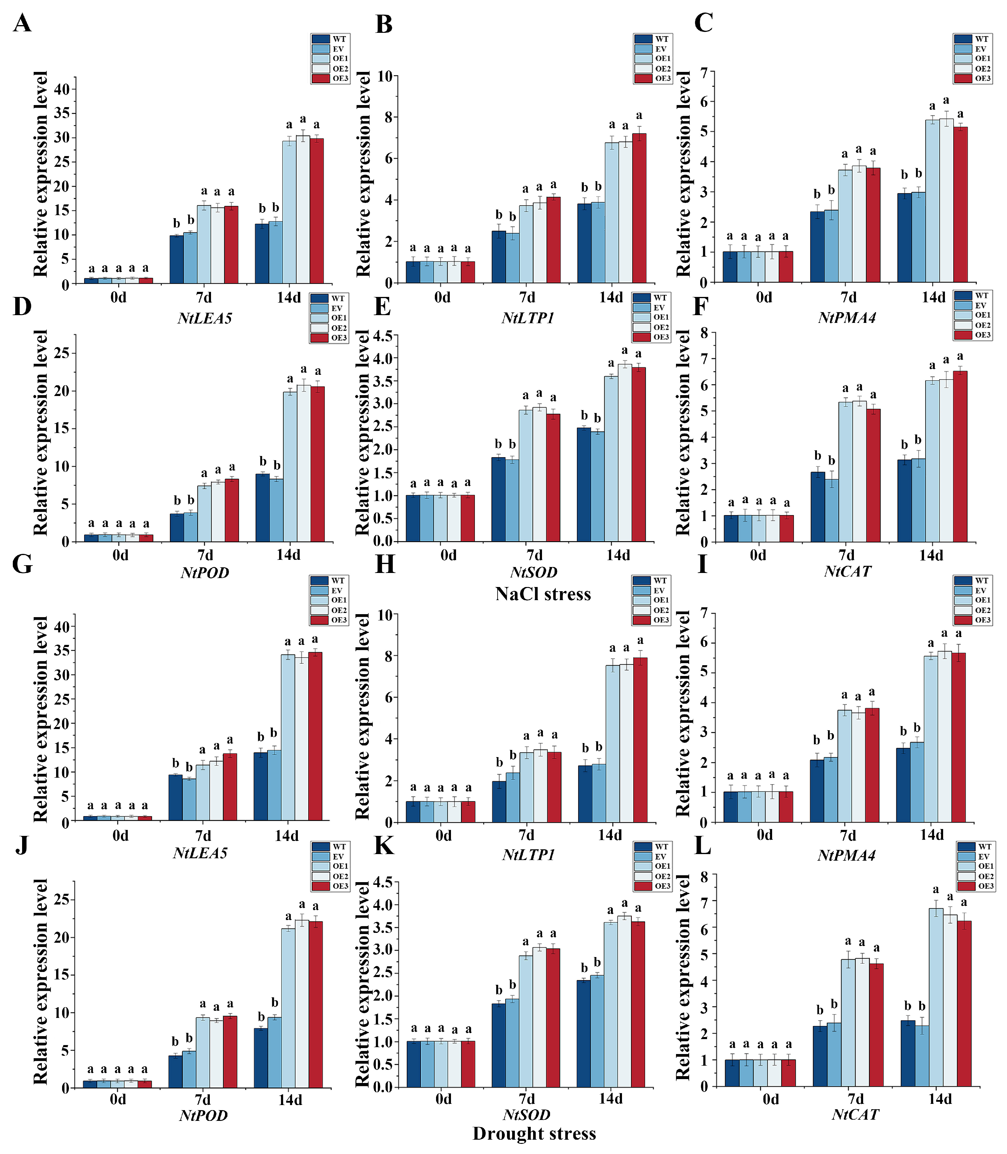 Horticulturae 12 00003 g009