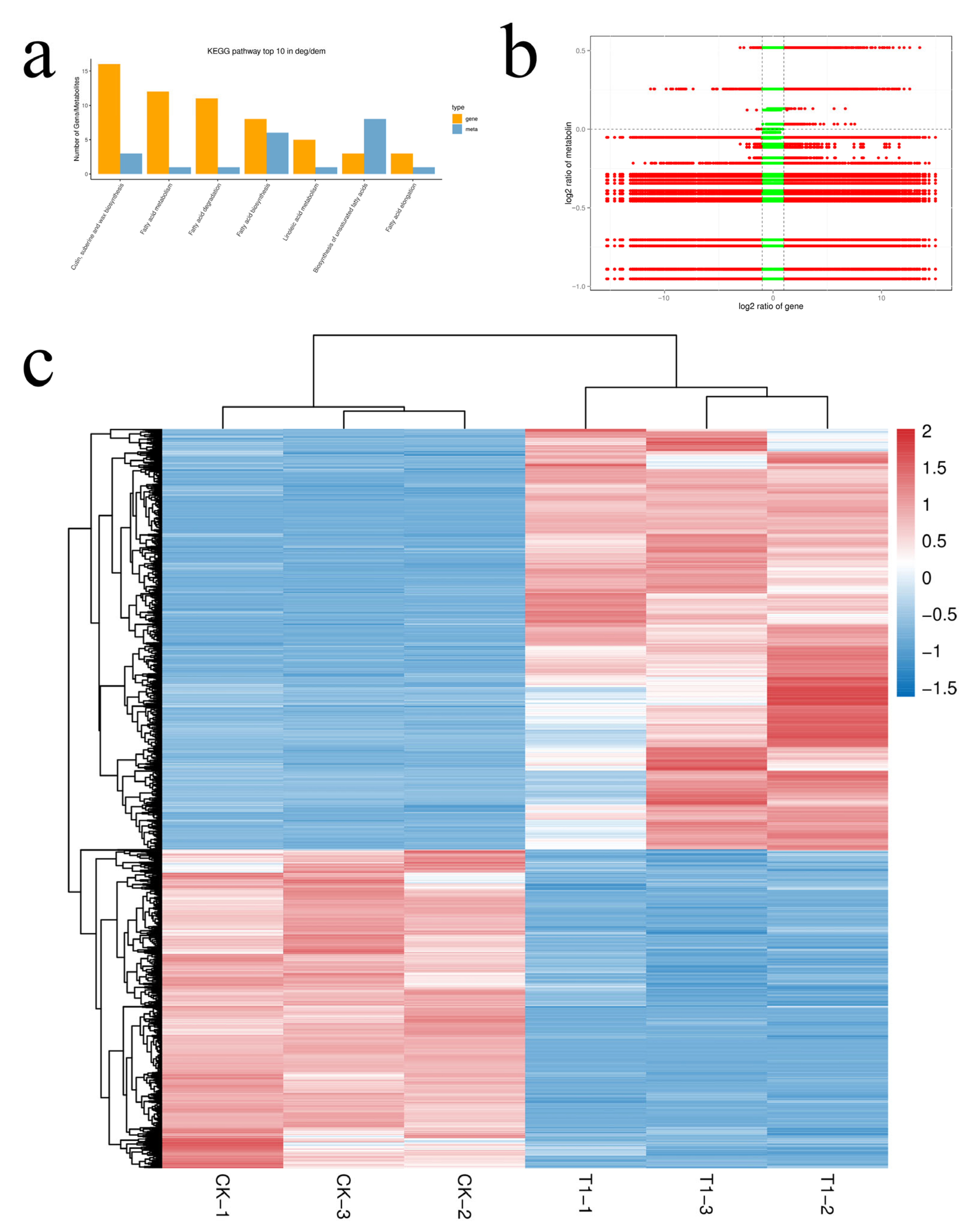 Horticulturae 12 00005 g008