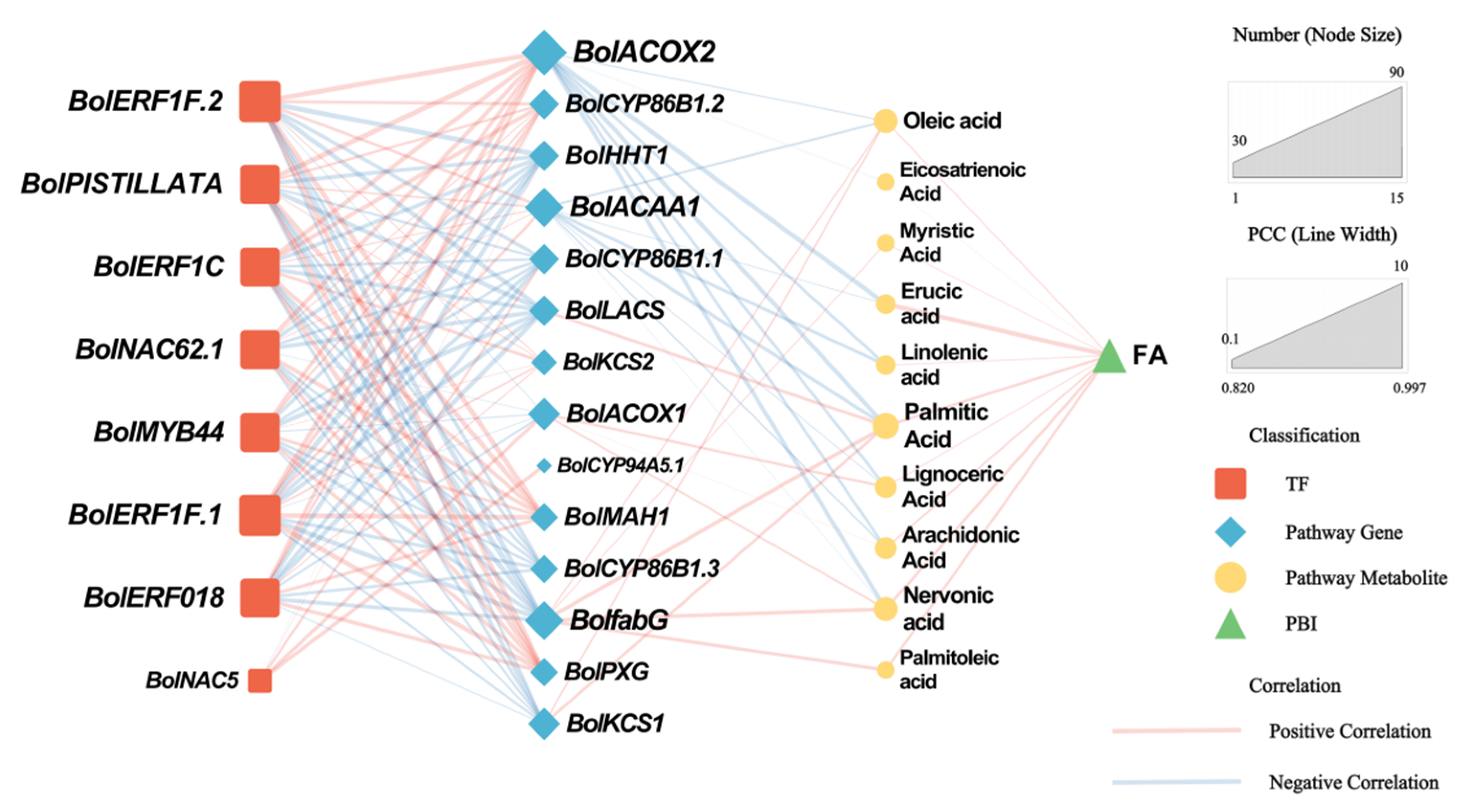Horticulturae 12 00005 g011