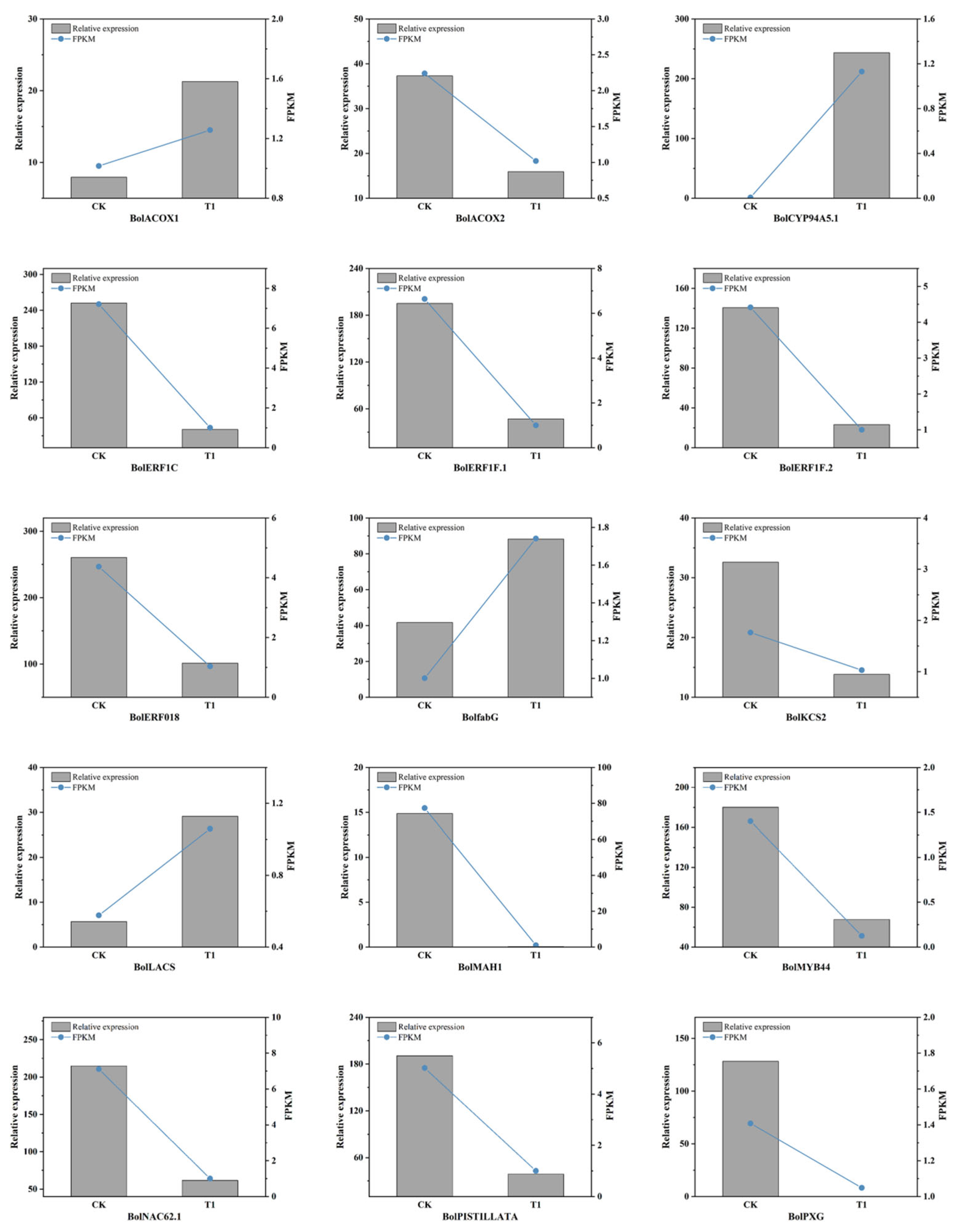 Horticulturae 12 00005 g012