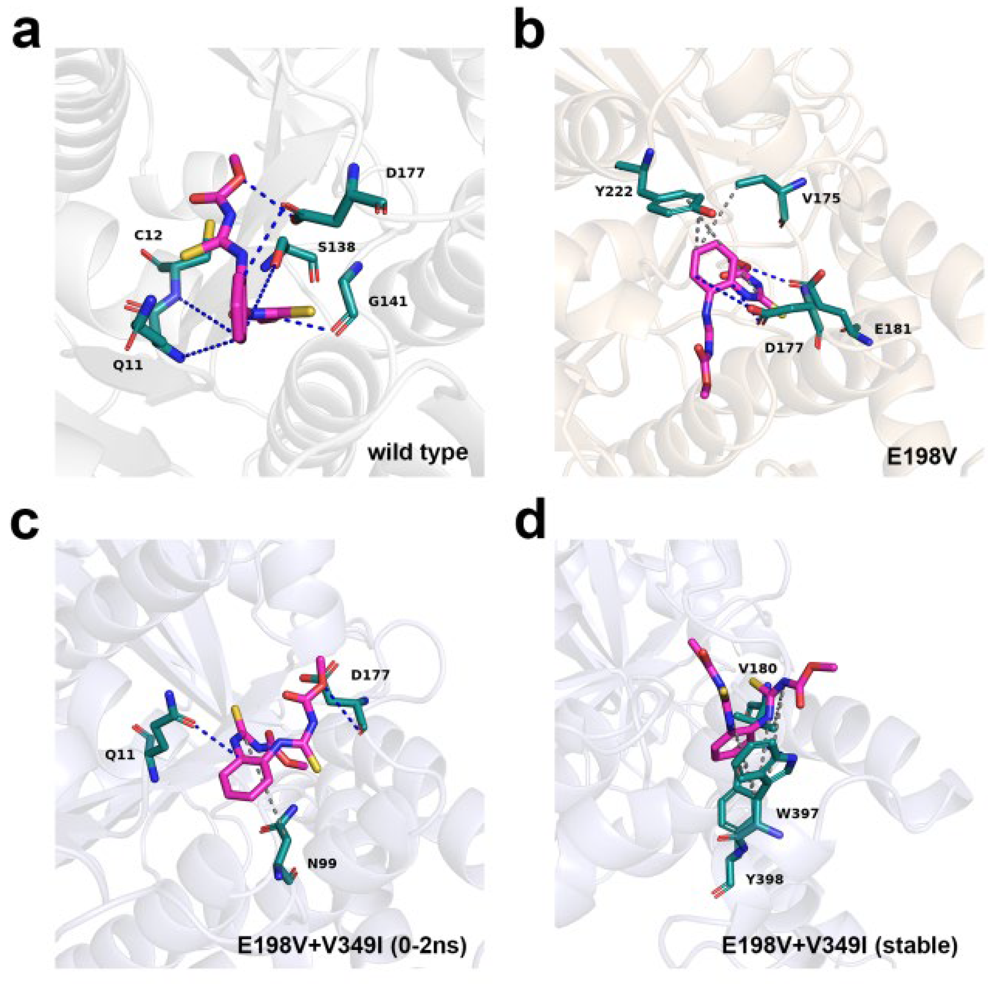 Horticulturae 12 00009 g008