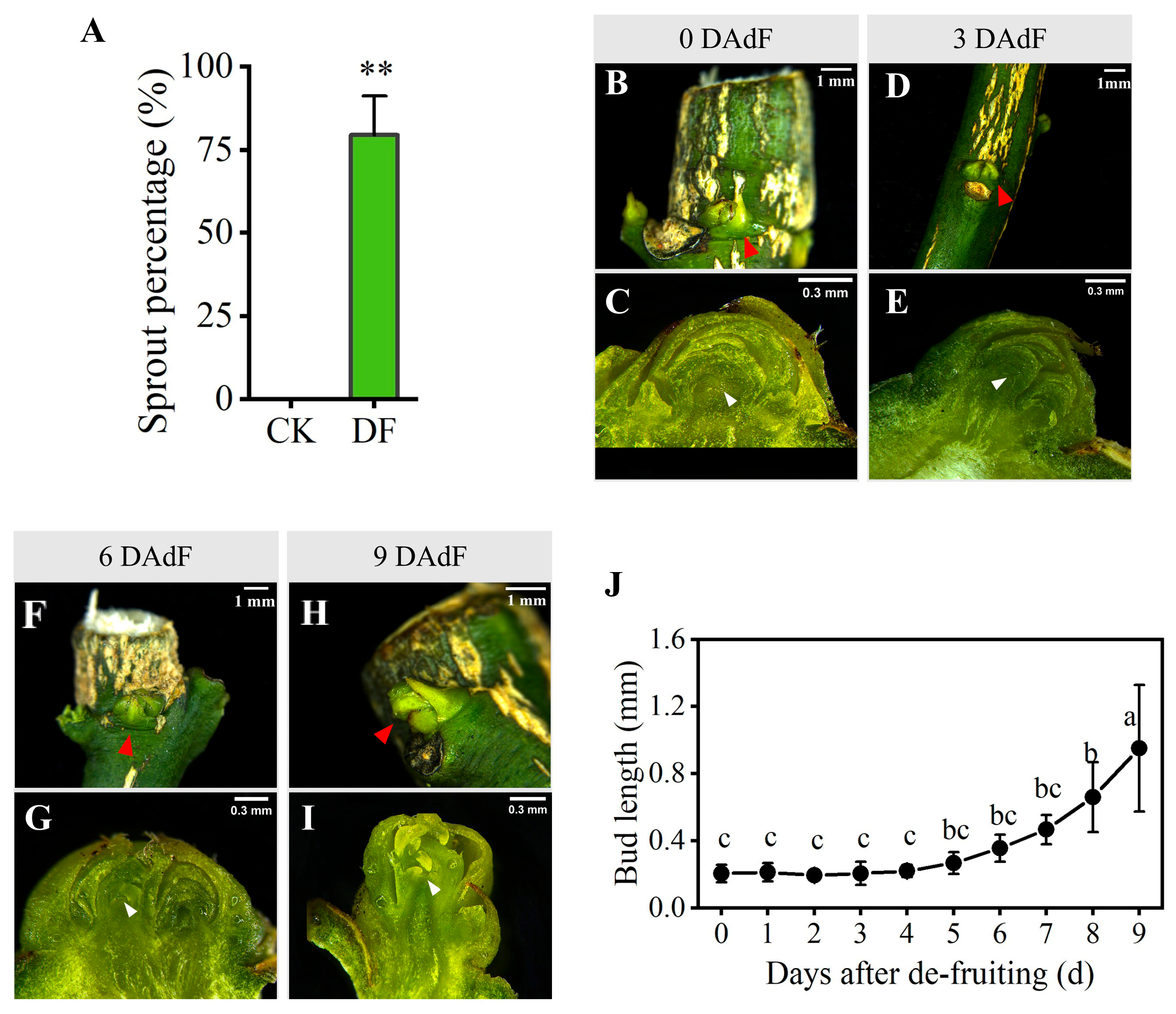 Horticulturae 12 00014 g002