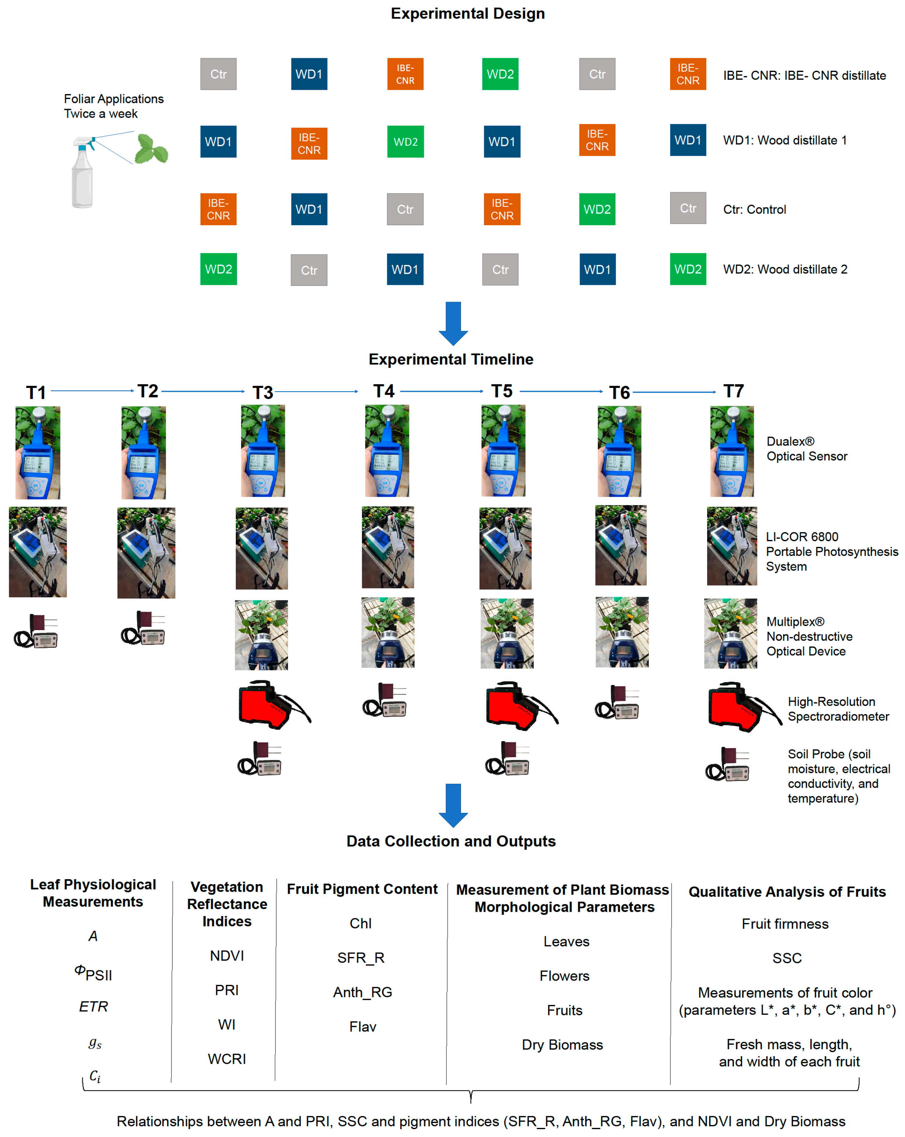 Horticulturae 12 00017 g001