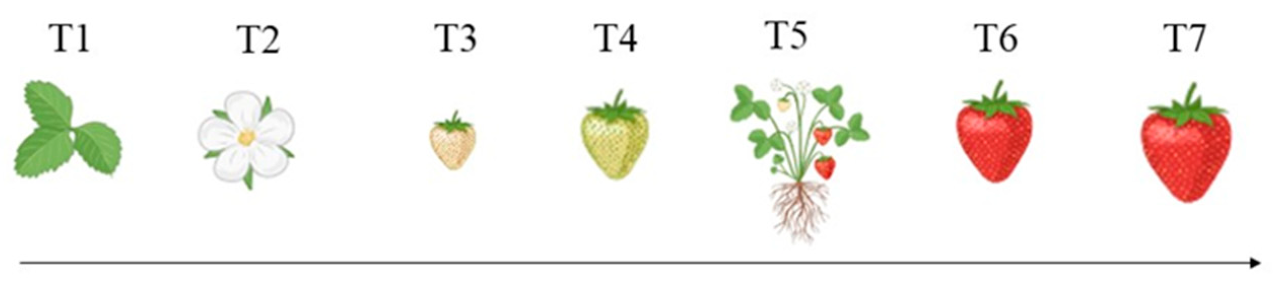 Horticulturae 12 00017 g002