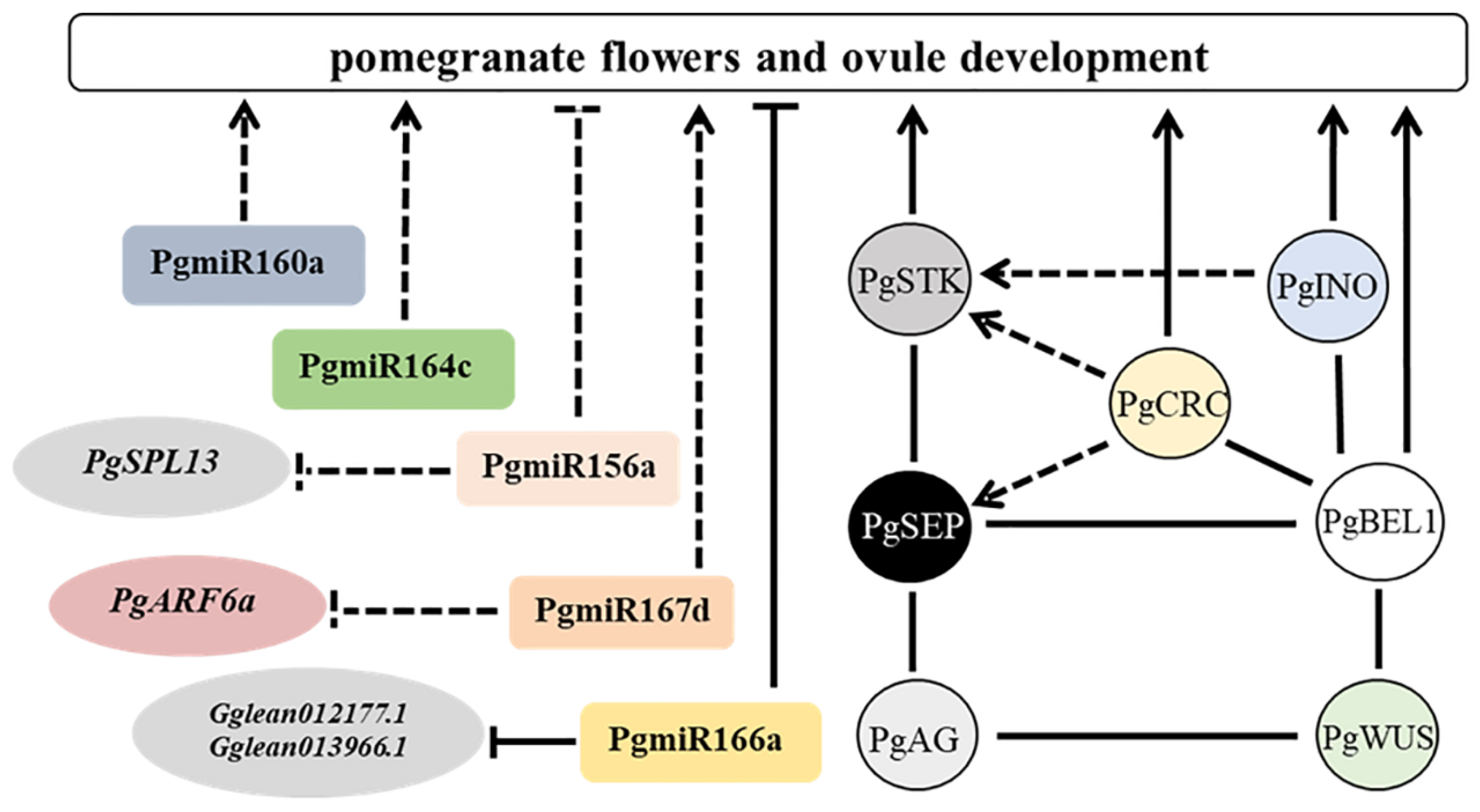 Horticulturae 12 00026 g001