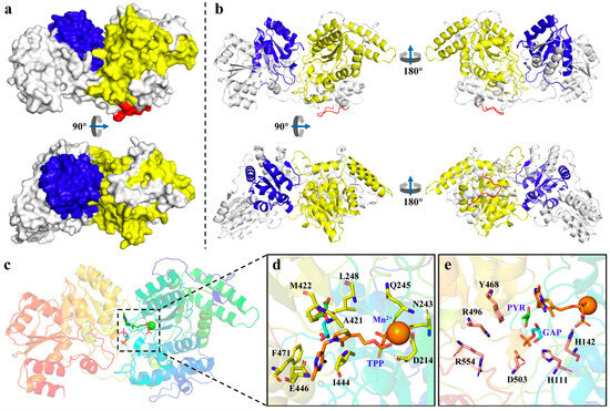 テスト Frontiers | Floral and genetic divergence across environmental
