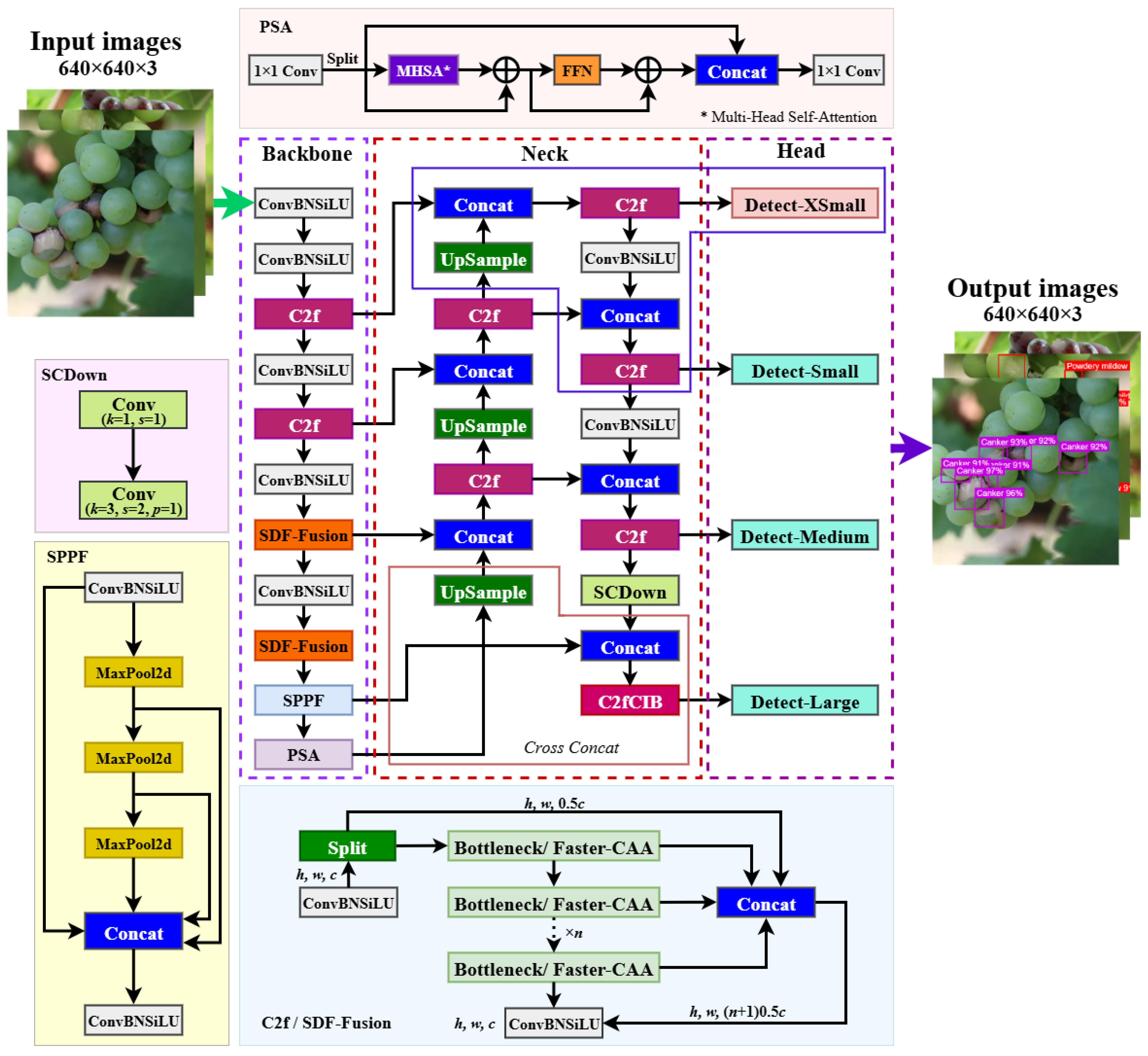 Horticulturae 12 00038 g002