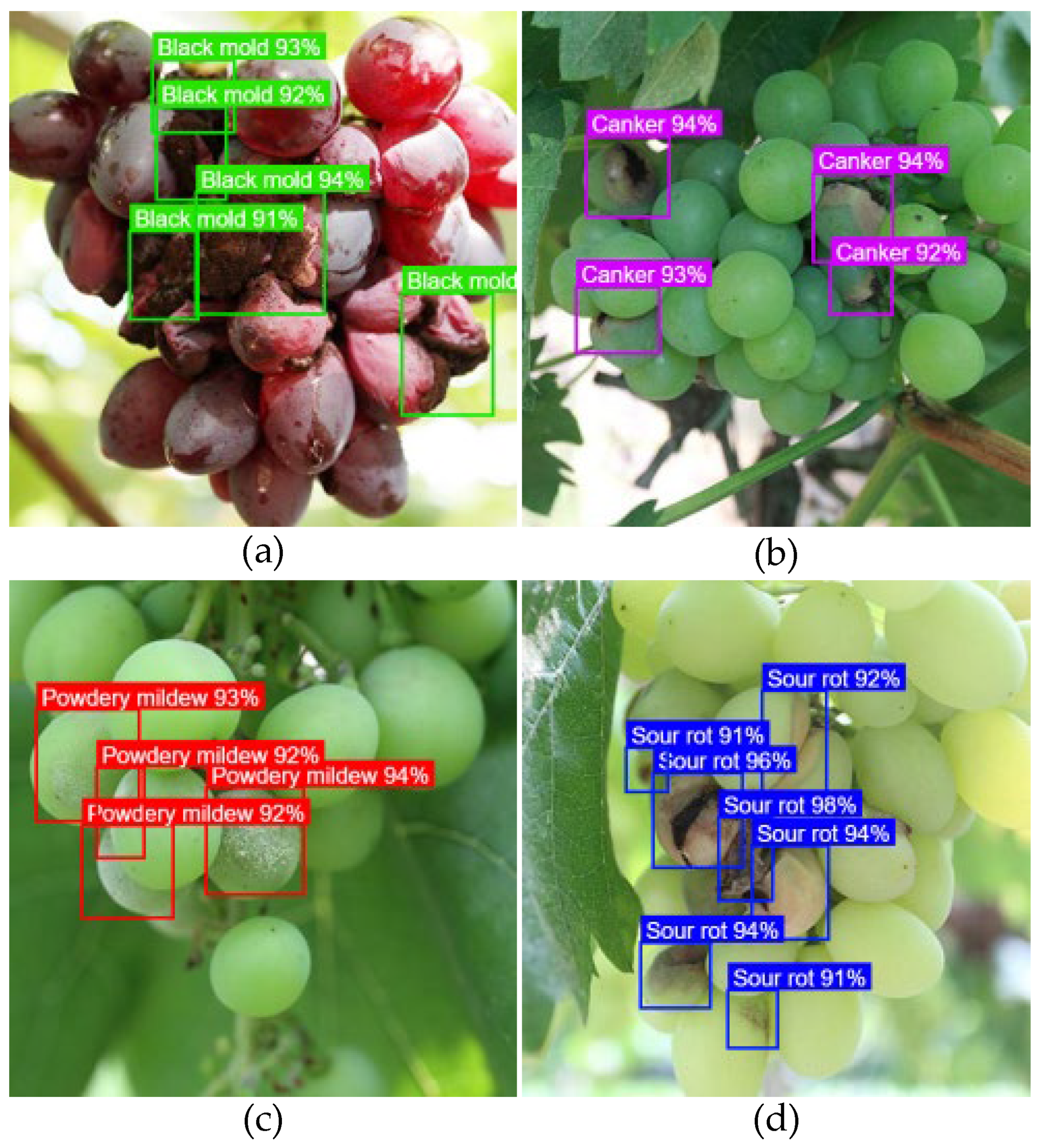 Horticulturae 12 00038 g005