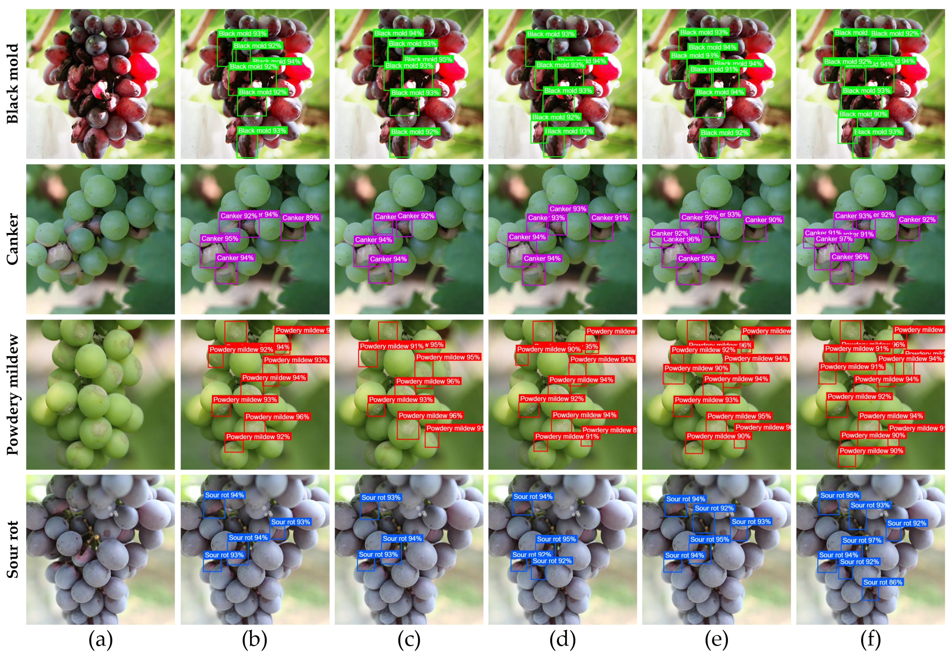 Horticulturae 12 00038 g008