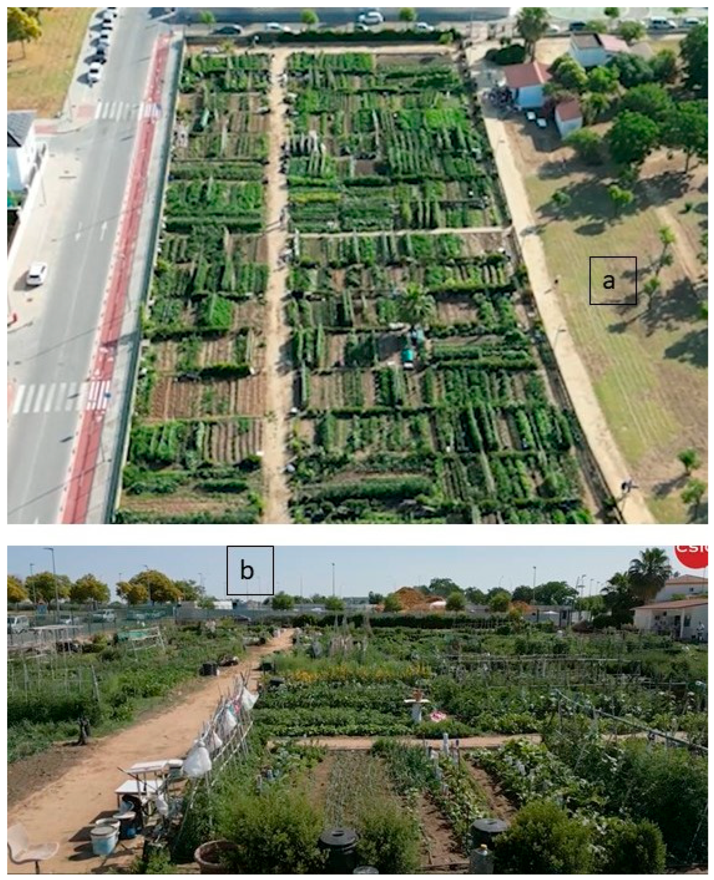 Horticulturae 12 00040 g001