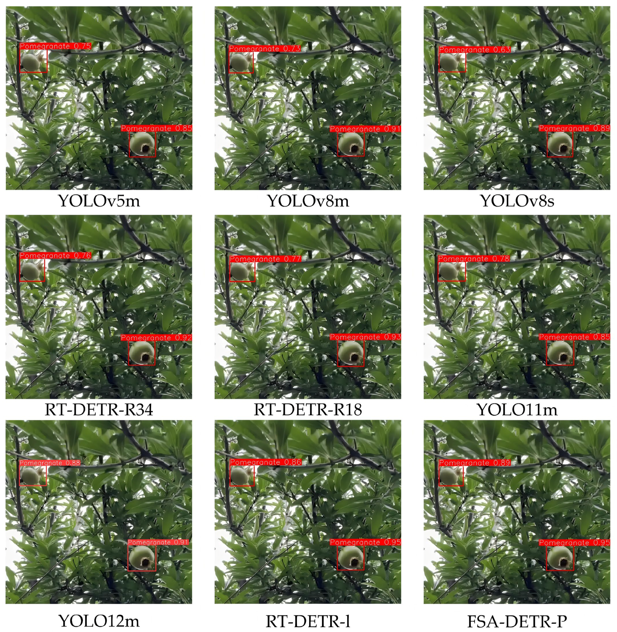 Horticulturae 12 00042 g014