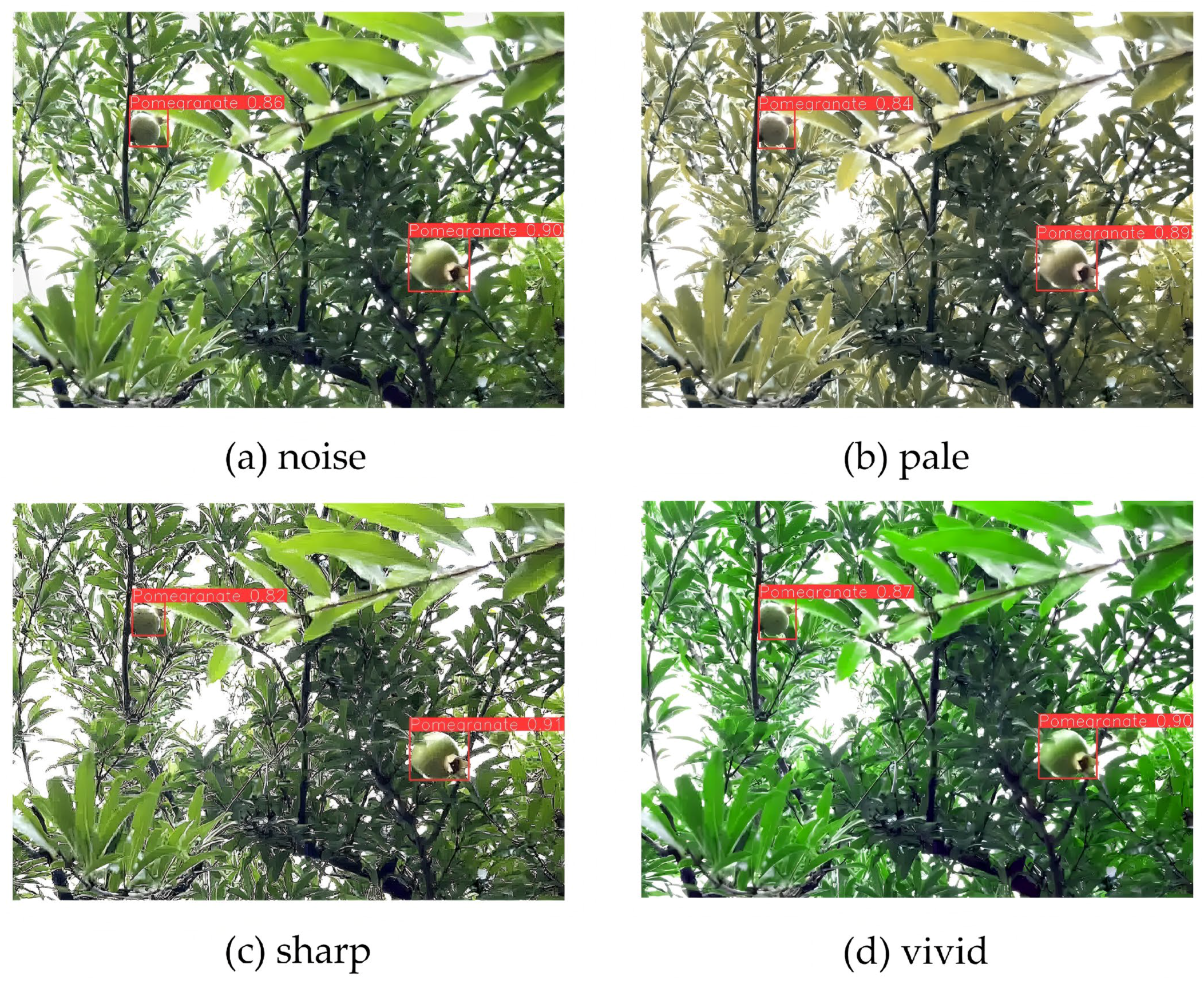 Horticulturae 12 00042 g015