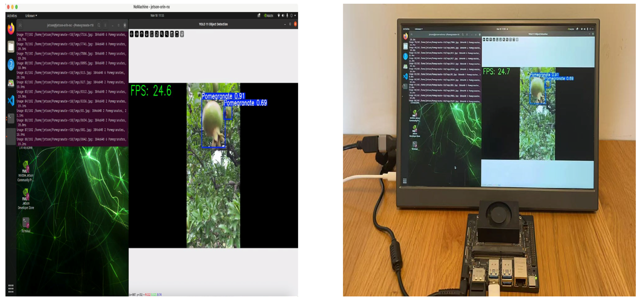 Horticulturae 12 00042 g016