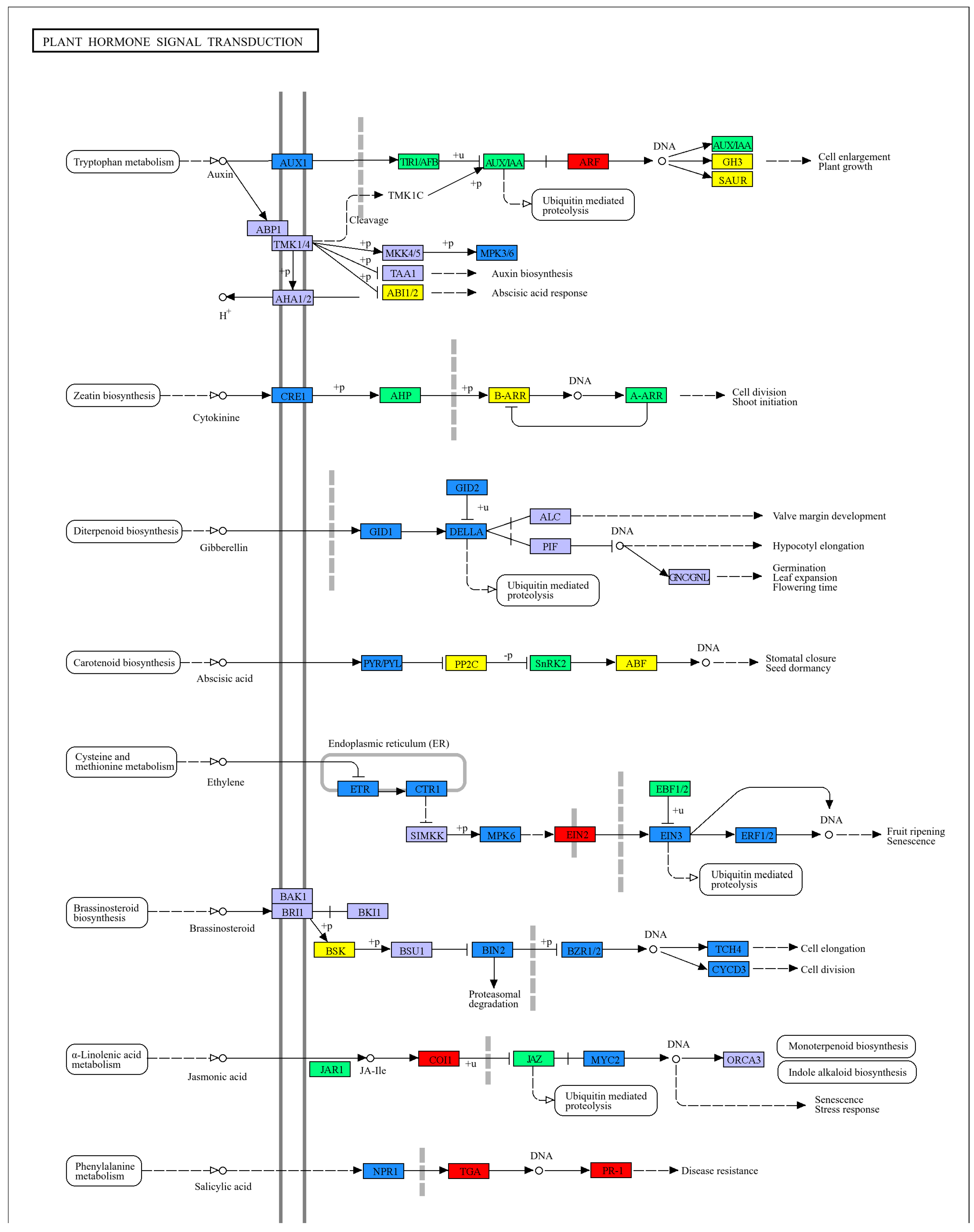 Horticulturae 12 00044 g005