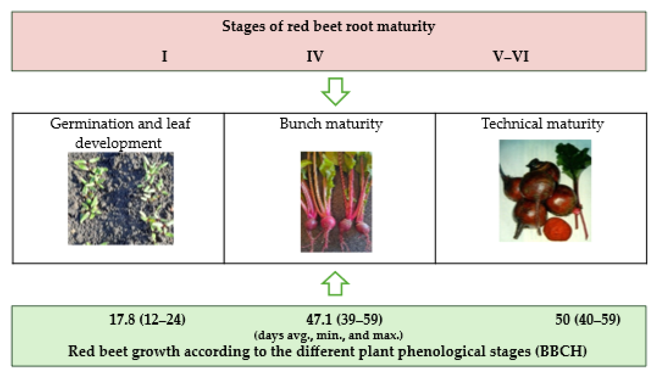 Horticulturae 12 00055 g003 Horticulturae 12 00055 g003