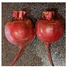 Horticulturae 12 00055 i004 Horticulturae 12 00055 i004