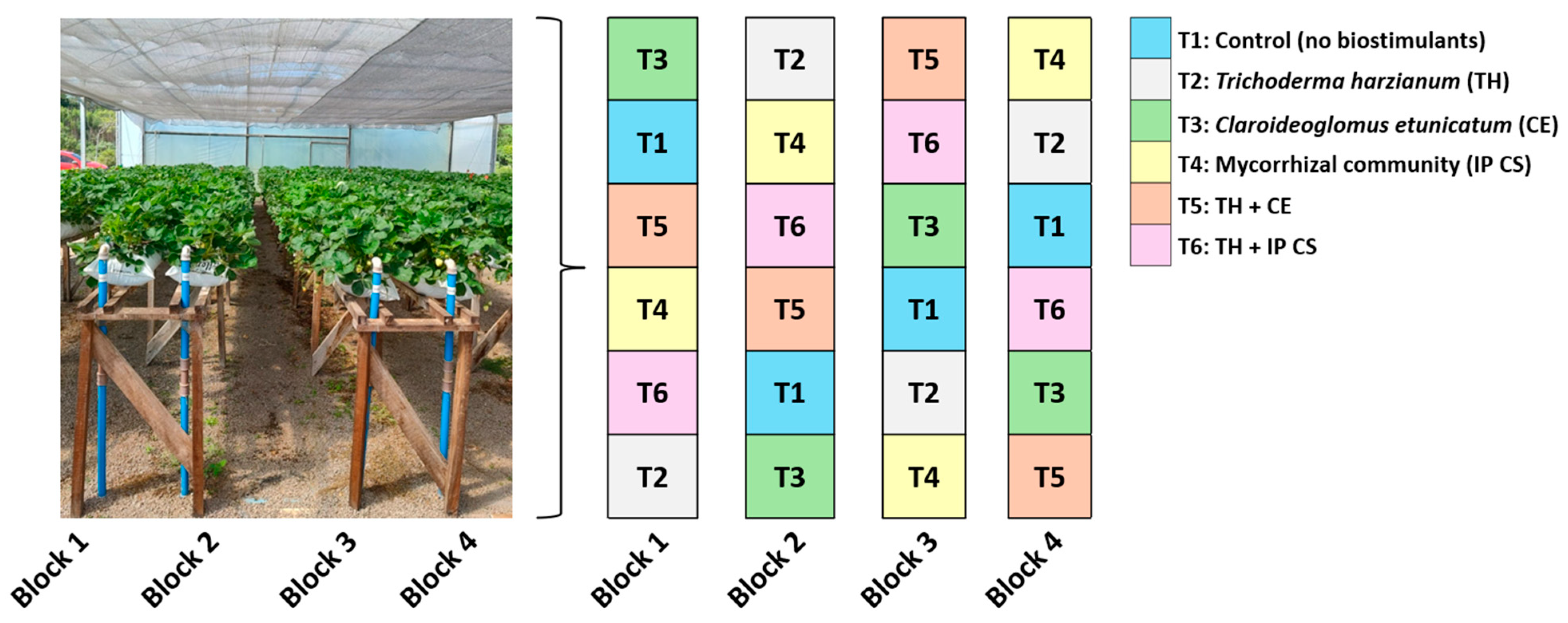 Horticulturae 12 00056 g002 Horticulturae 12 00056 g002
