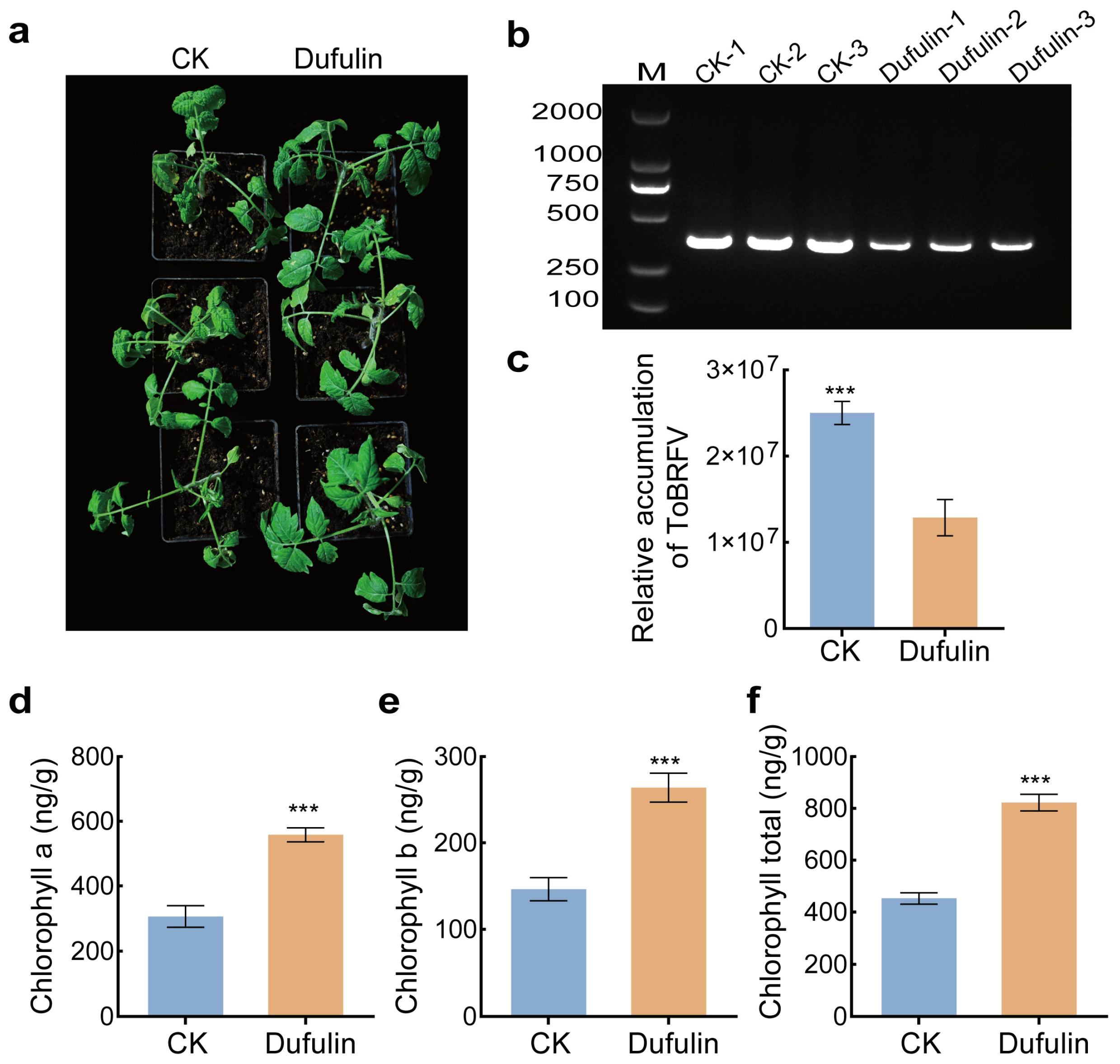 Horticulturae 12 00060 g001 Horticulturae 12 00060 g001