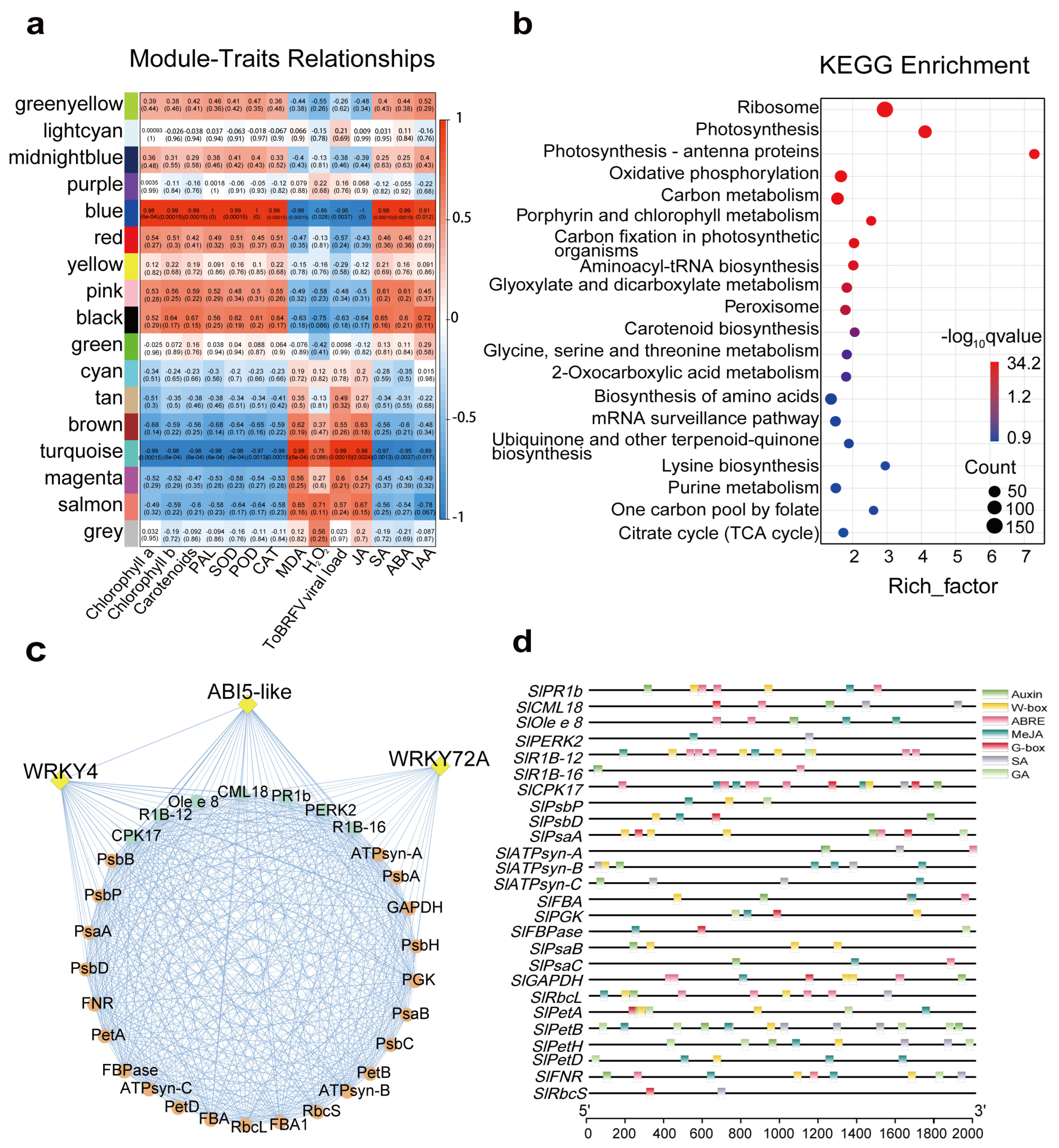 Horticulturae 12 00060 g005 Horticulturae 12 00060 g005
