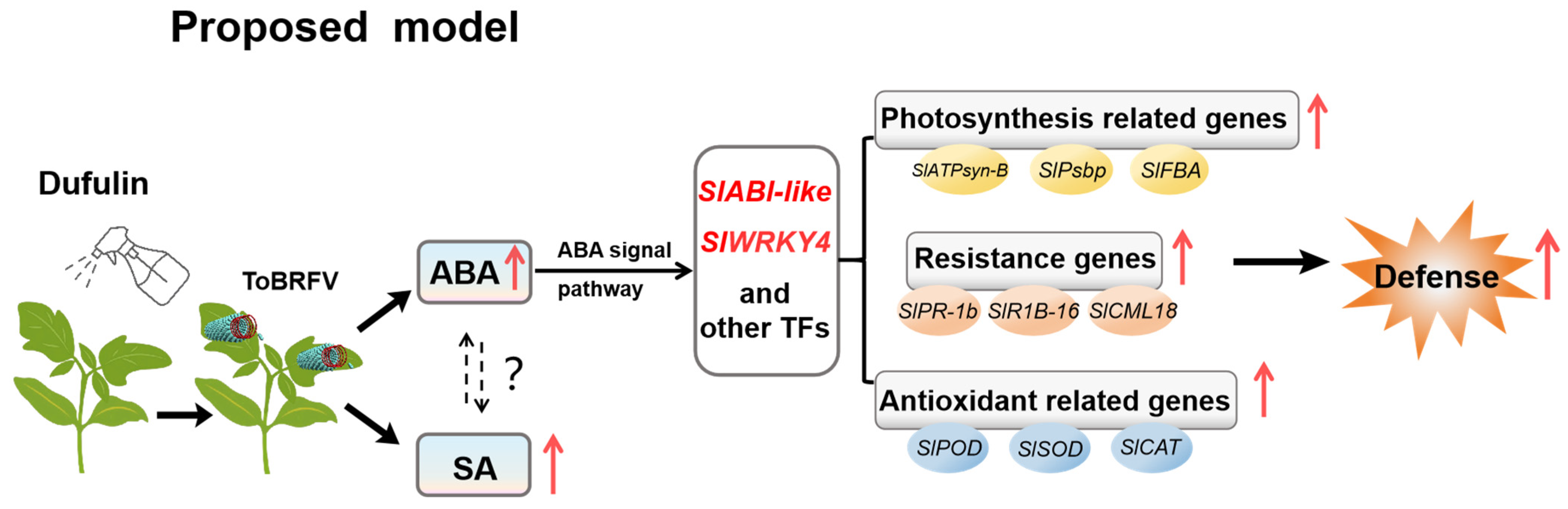 Horticulturae 12 00060 g007 Horticulturae 12 00060 g007