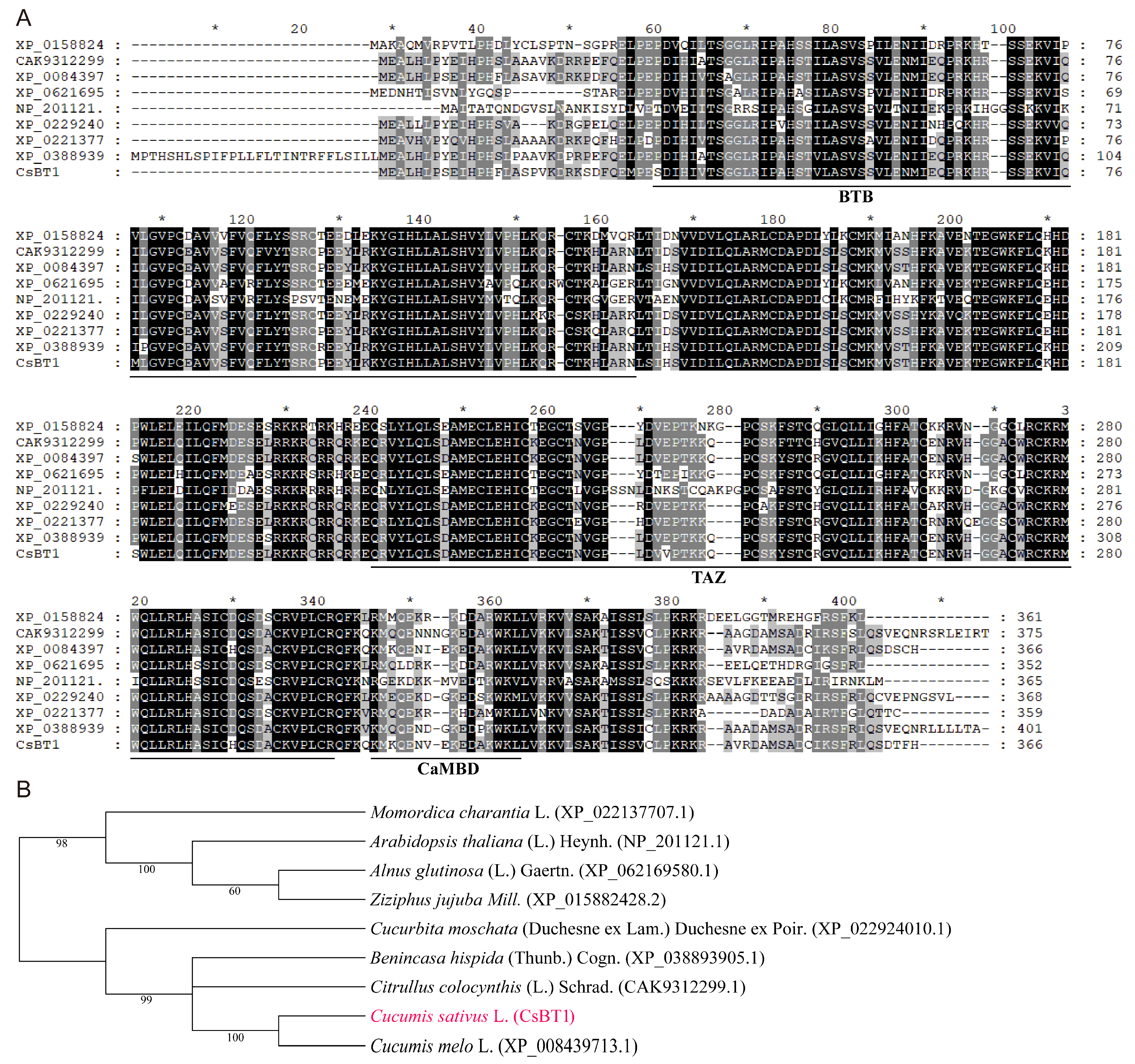 Horticulturae 12 00062 g001