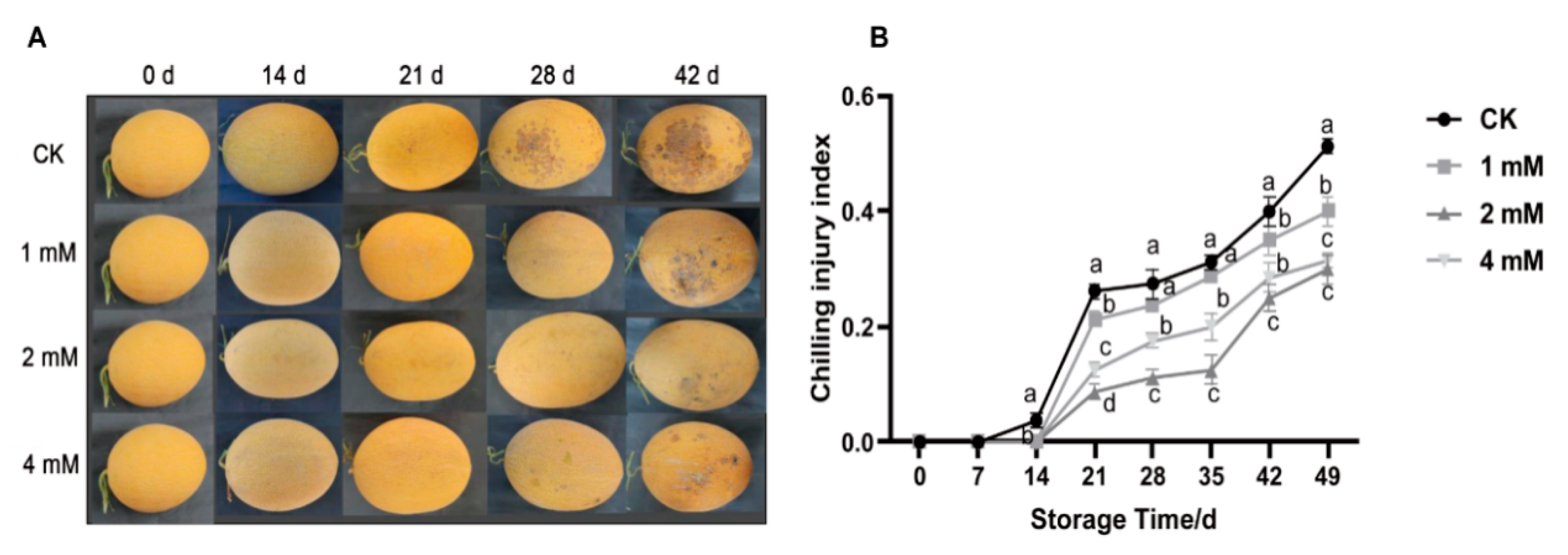 Horticulturae 12 00063 g001 Horticulturae 12 00063 g001