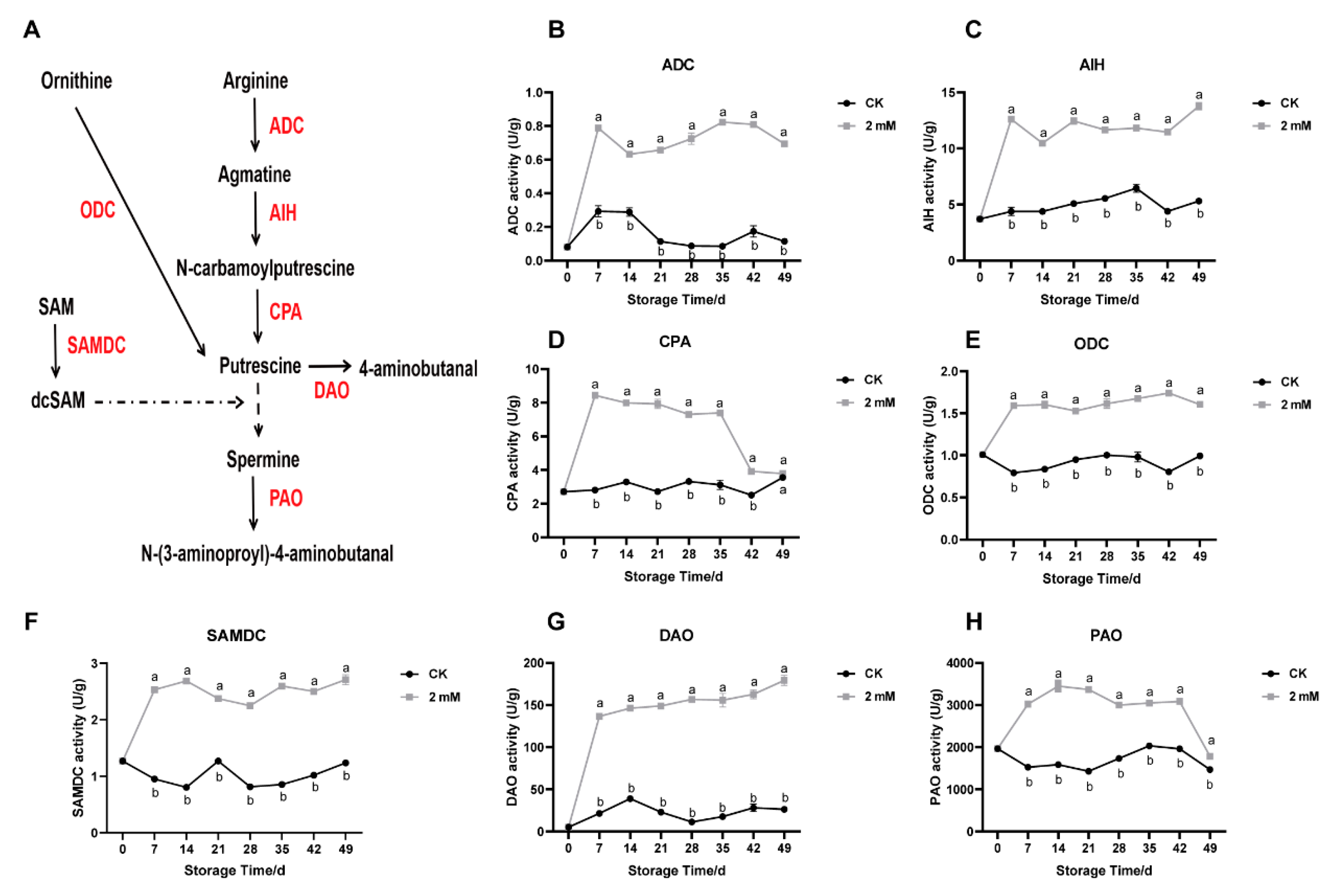 Horticulturae 12 00063 g003 Horticulturae 12 00063 g003