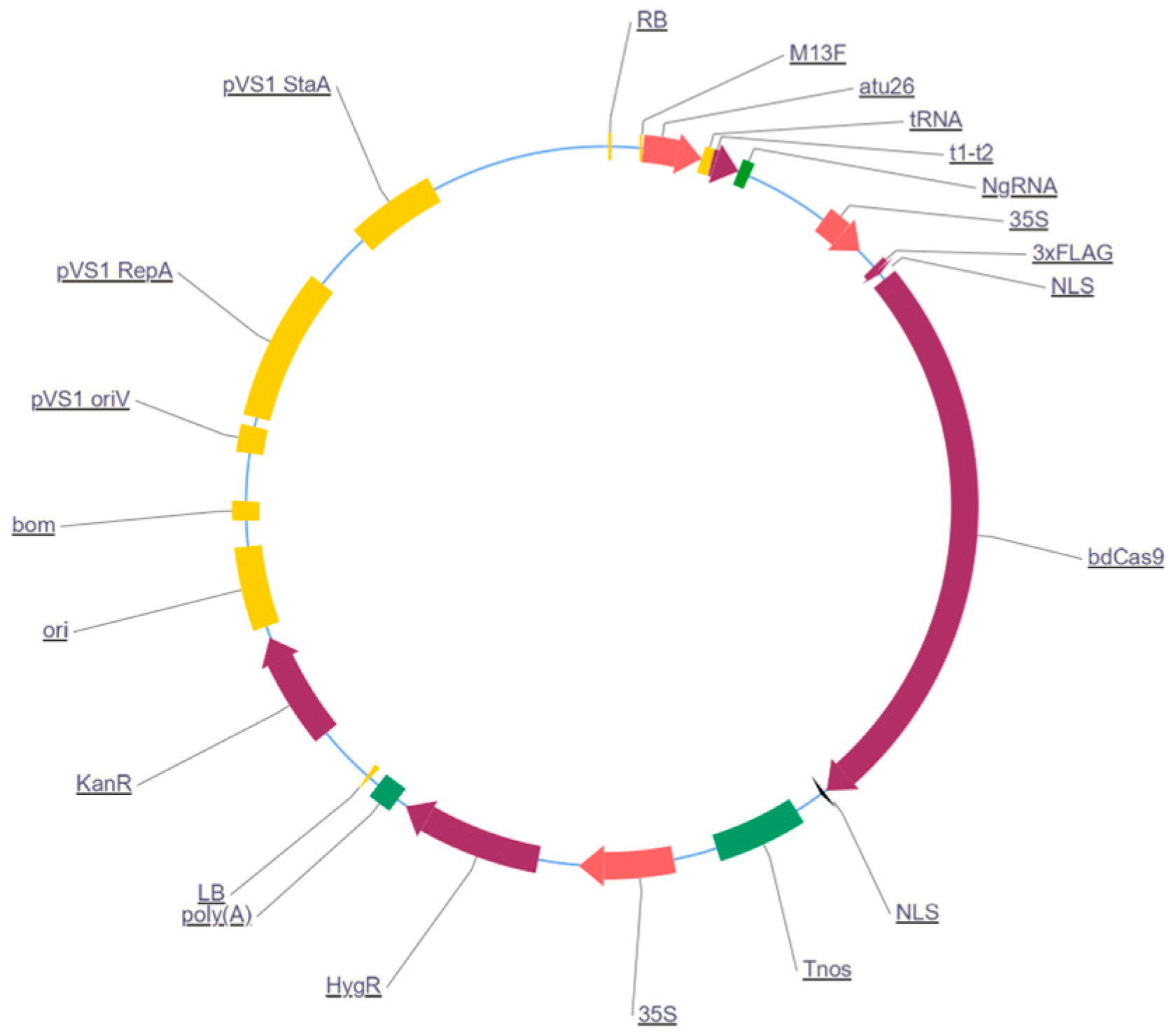Horticulturae 12 00064 g001 Horticulturae 12 00064 g001