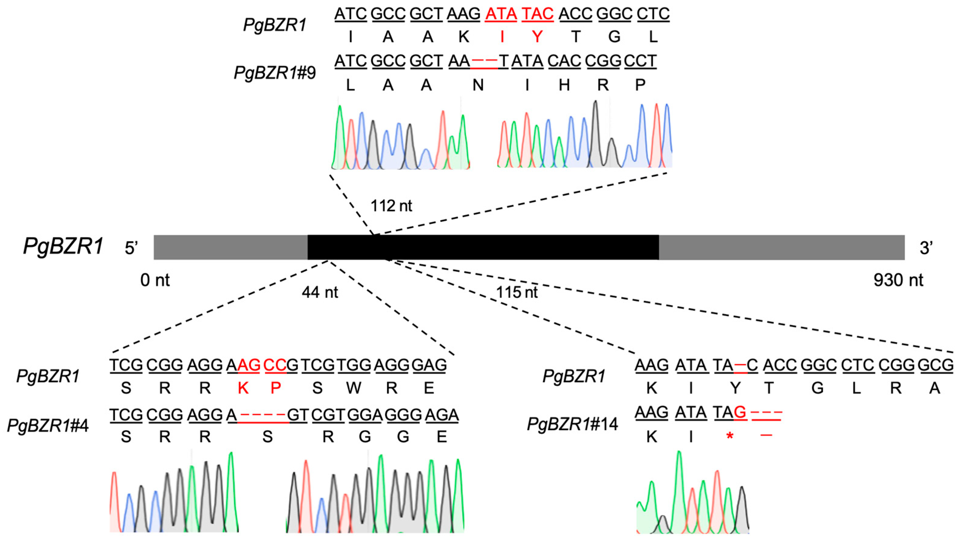 Horticulturae 12 00064 g006 Horticulturae 12 00064 g006