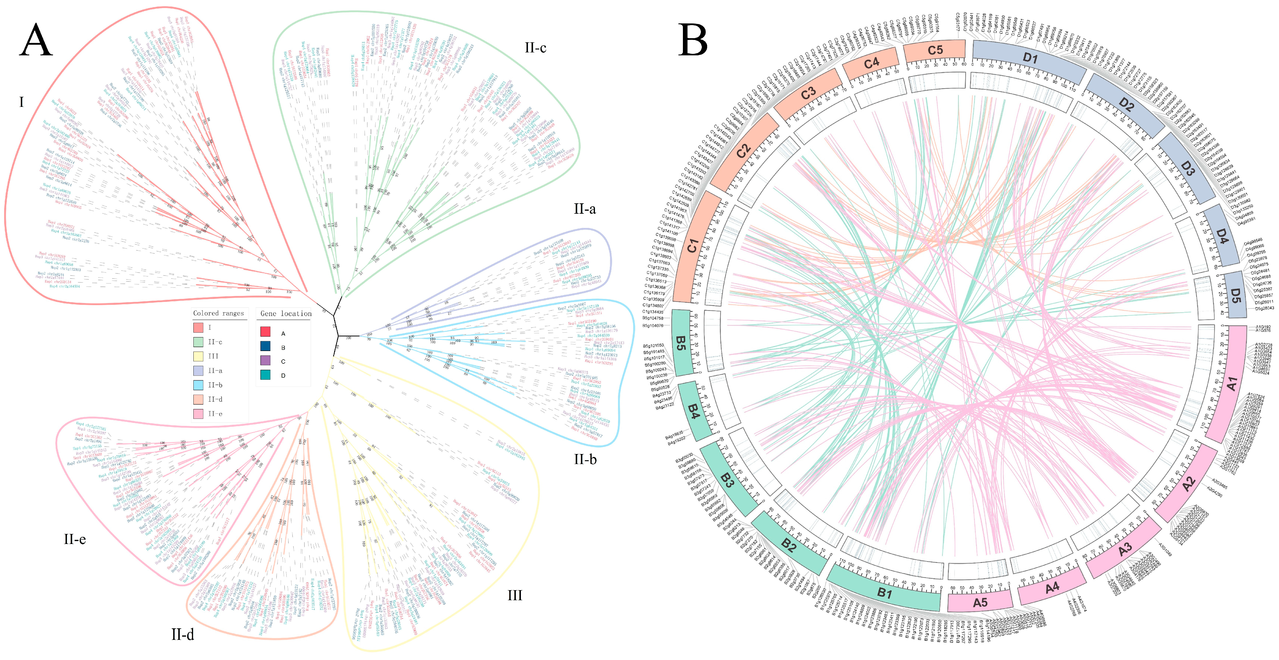 Horticulturae 12 00102 g001