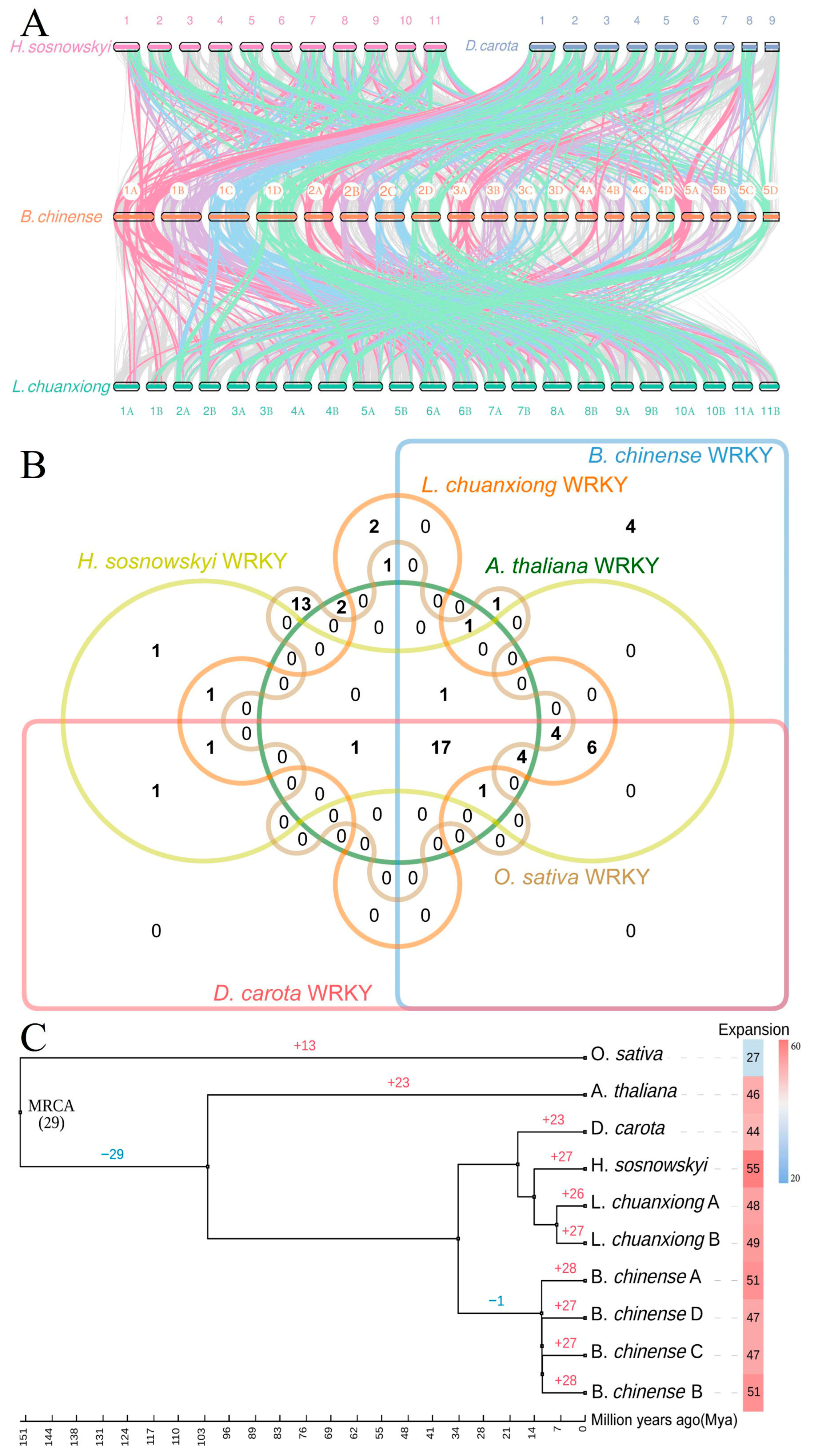 Horticulturae 12 00102 g002